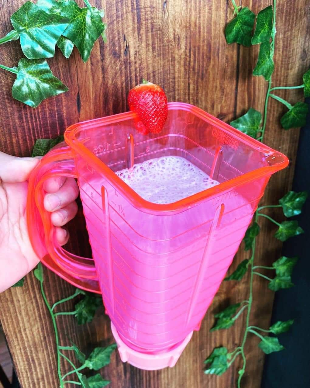 Nutri Lunchies image 9