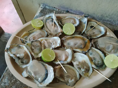 Pescados y Mariscos Gonzalez image 2