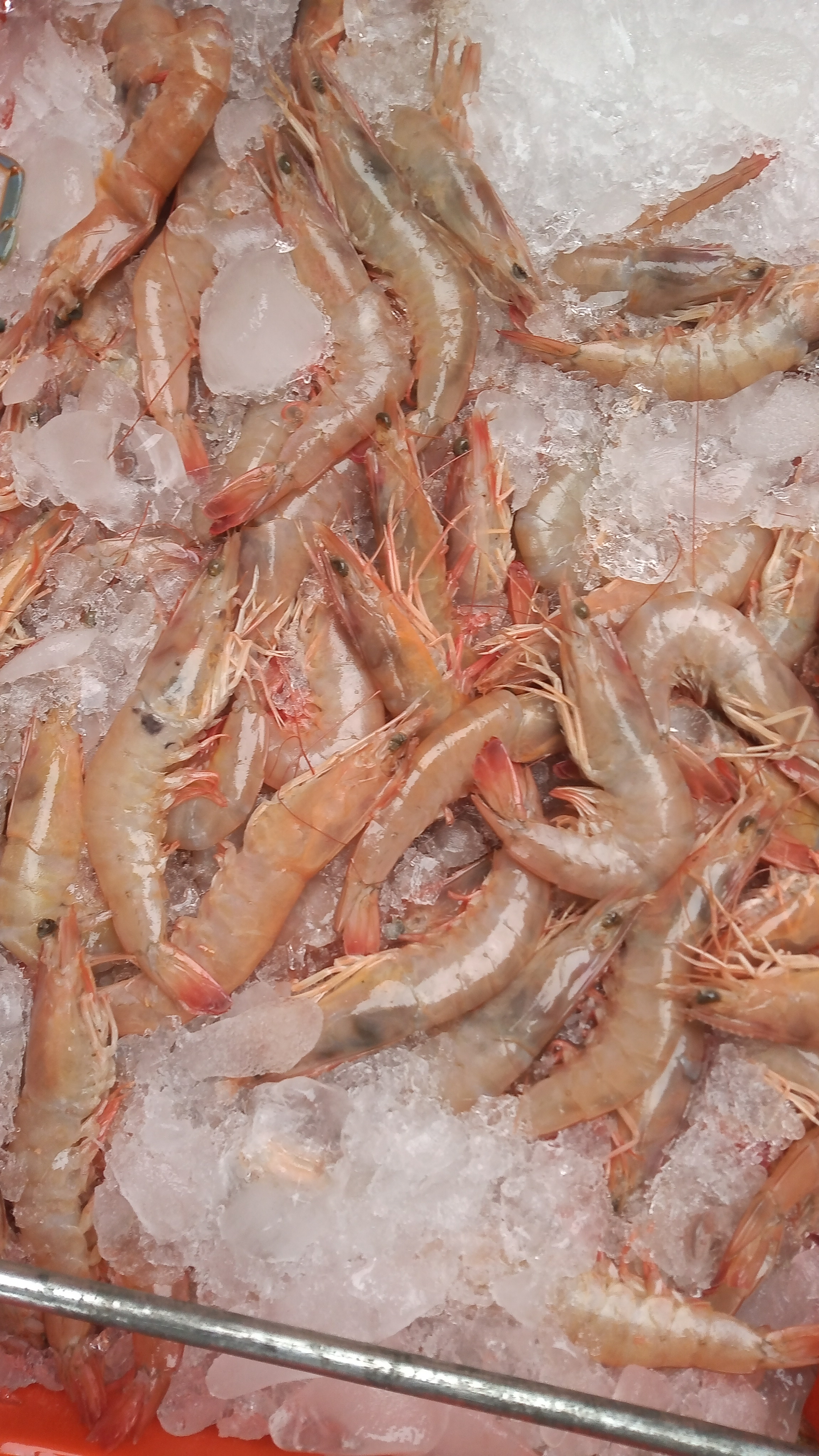 Pescados y Mariscos Gonzalez image 6