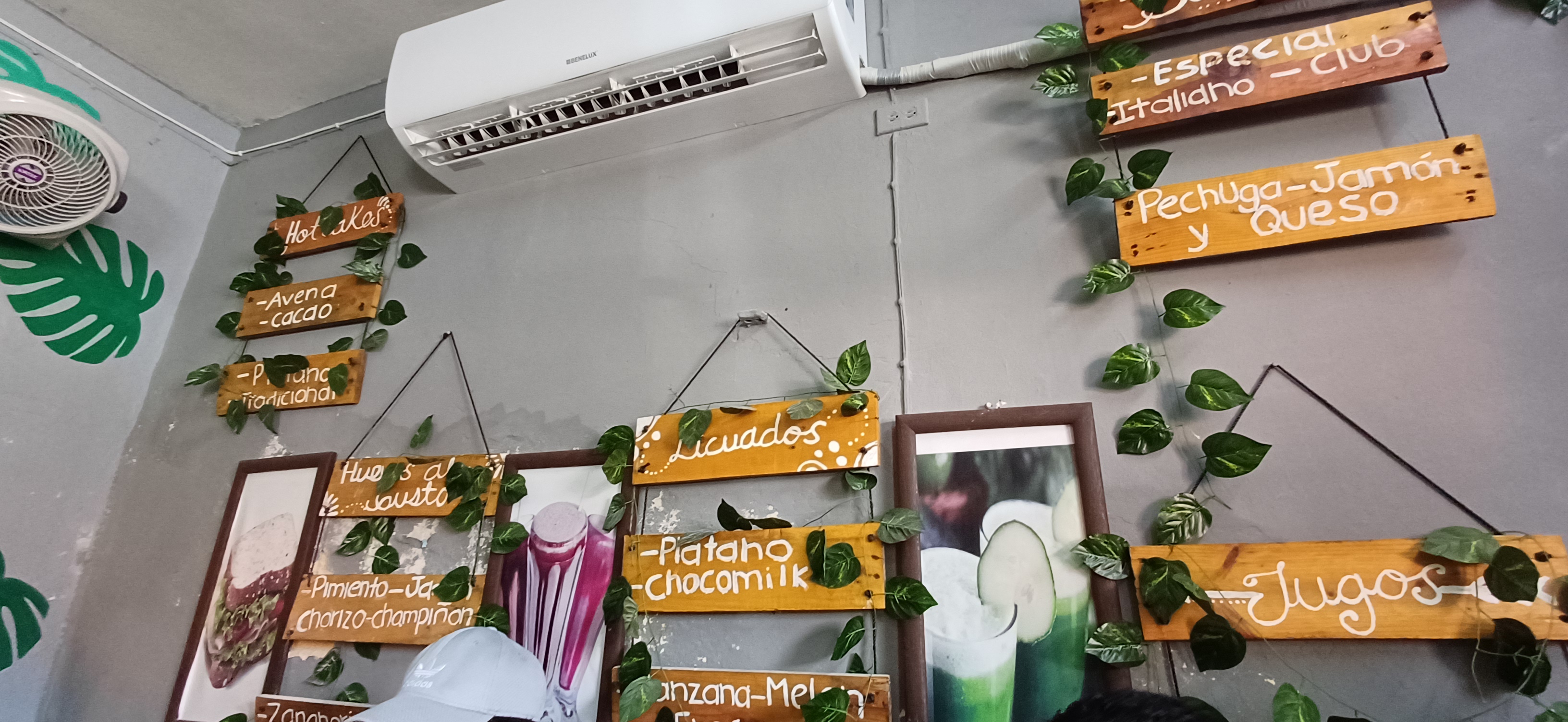 Rincón Natural image 1