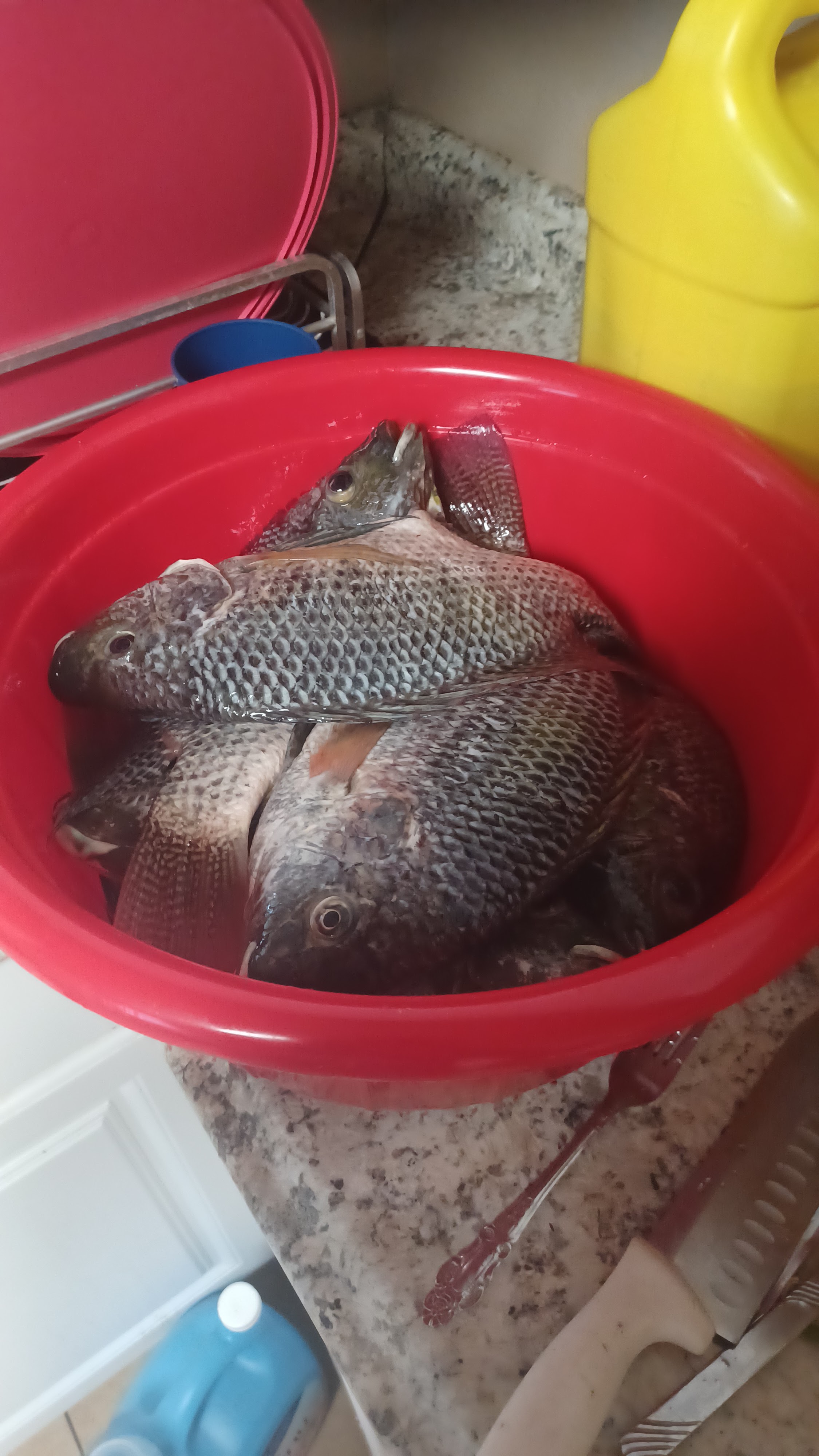 Restaurante el mirador image 3