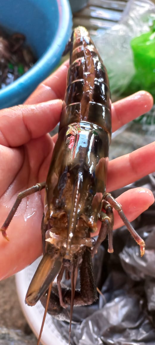 Restaurante el mirador image 7