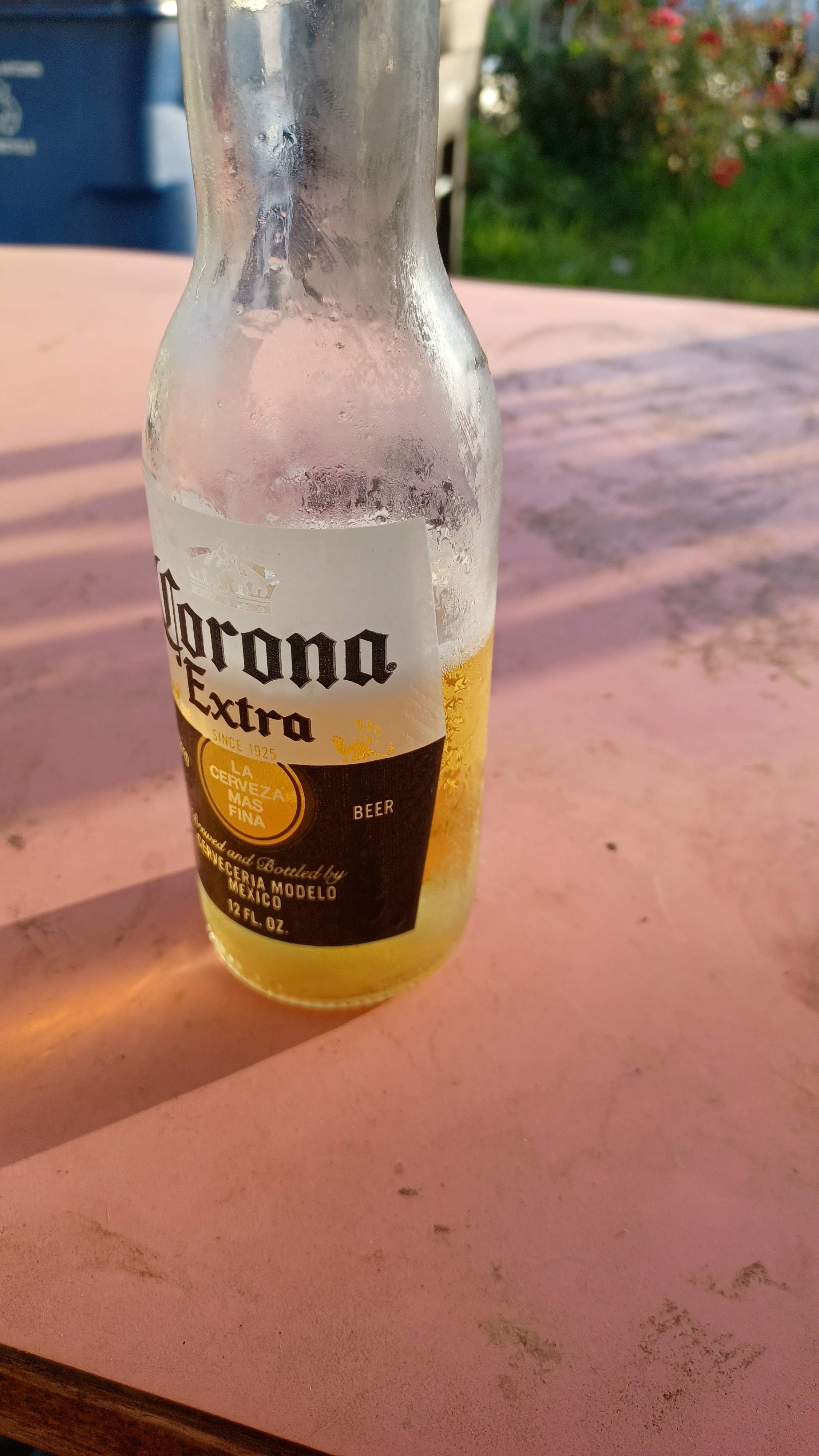 Restaurante el mirador image 9