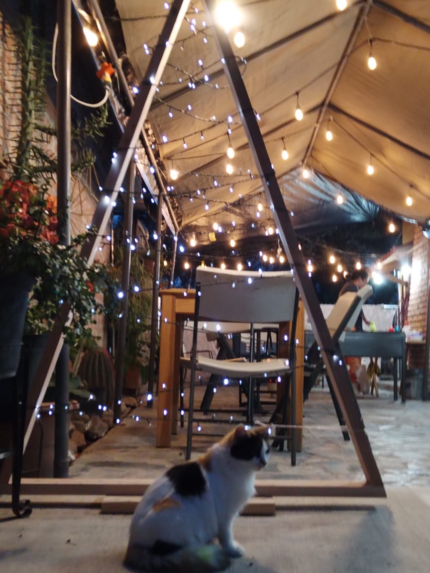 Cheems Burger image 8