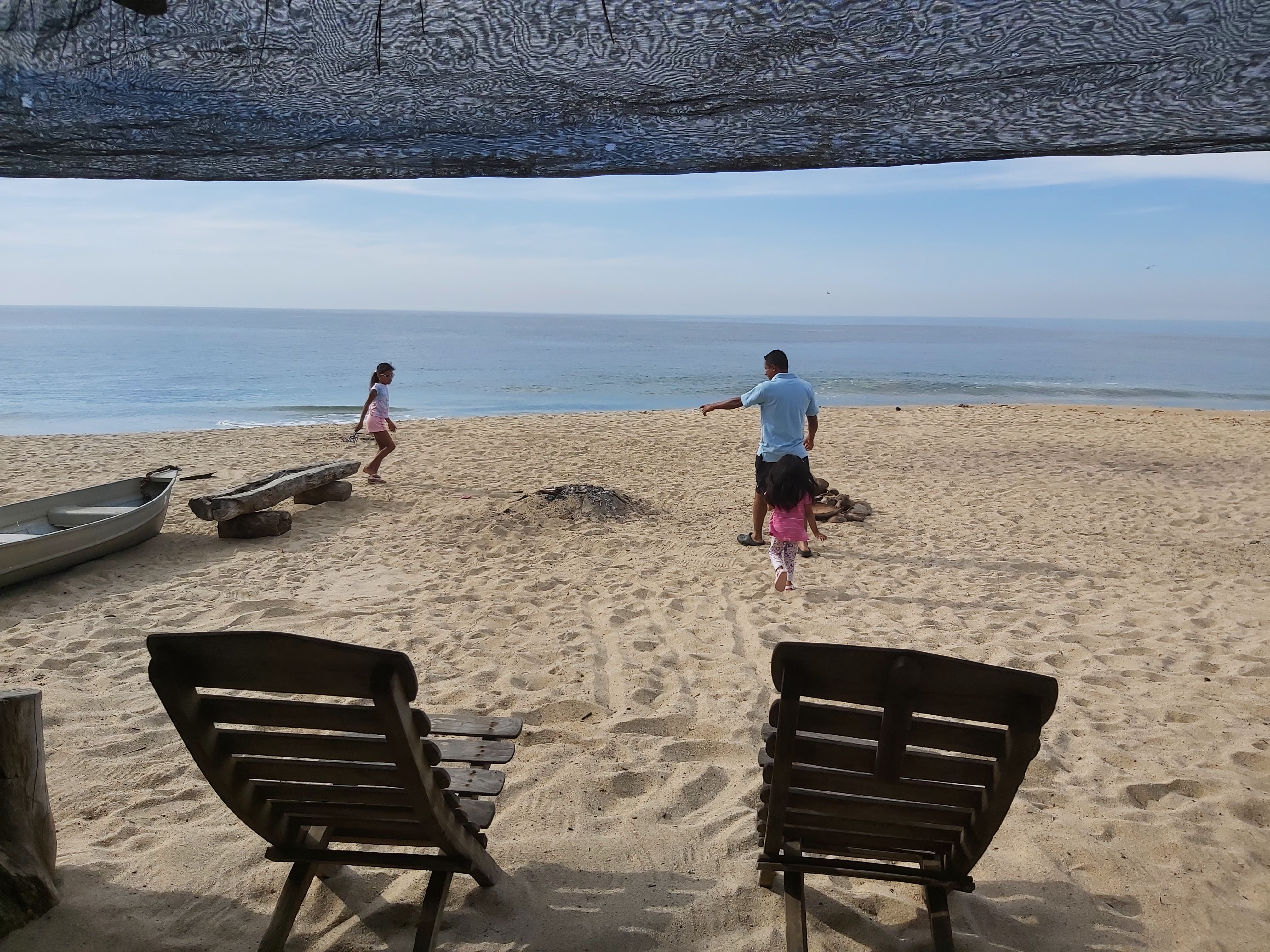 SIRENITO MACHO CAMPAMENTO TORTUGUERO image 1
