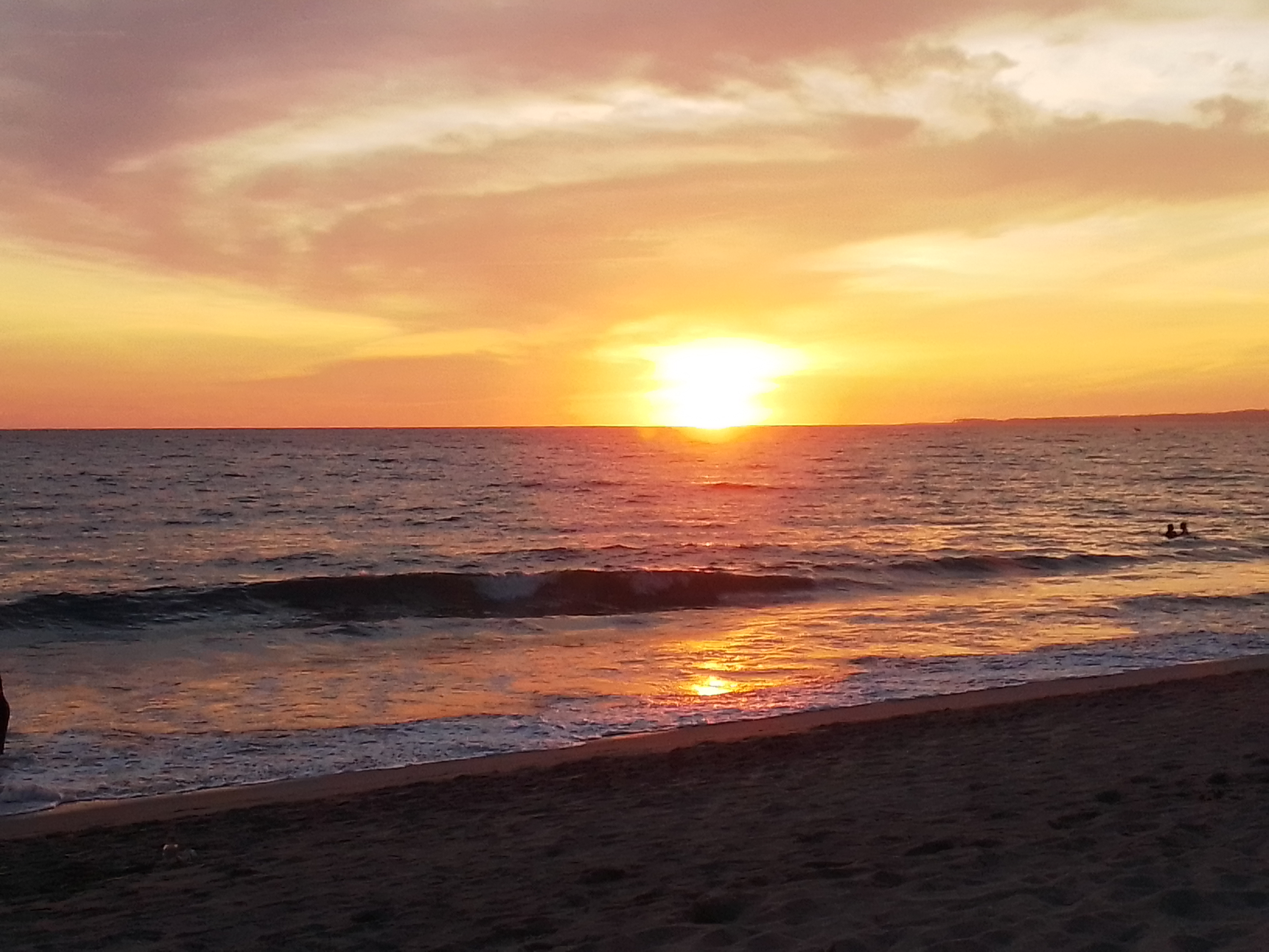 SIRENITO MACHO CAMPAMENTO TORTUGUERO image 3