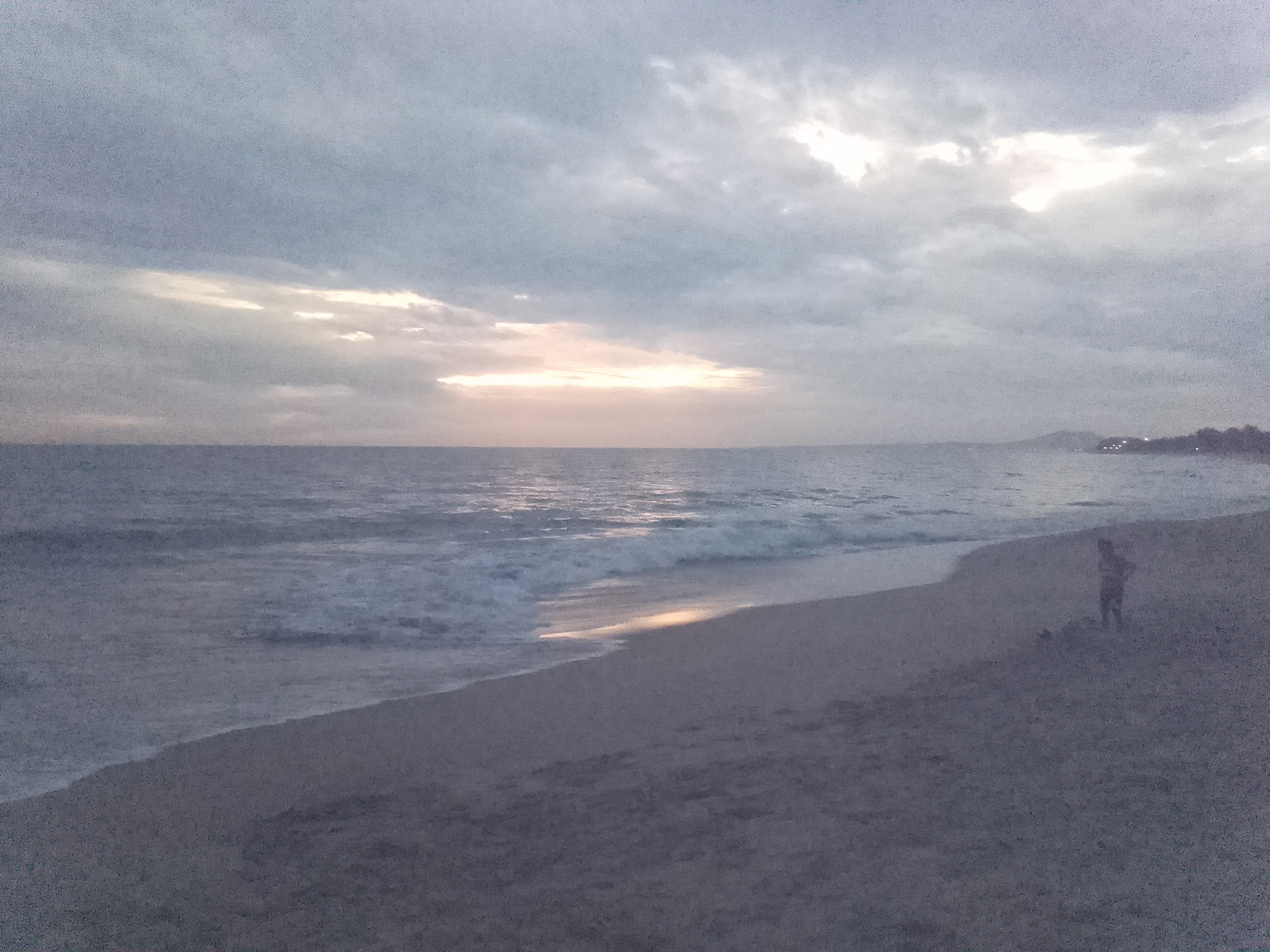 SIRENITO MACHO CAMPAMENTO TORTUGUERO image 4