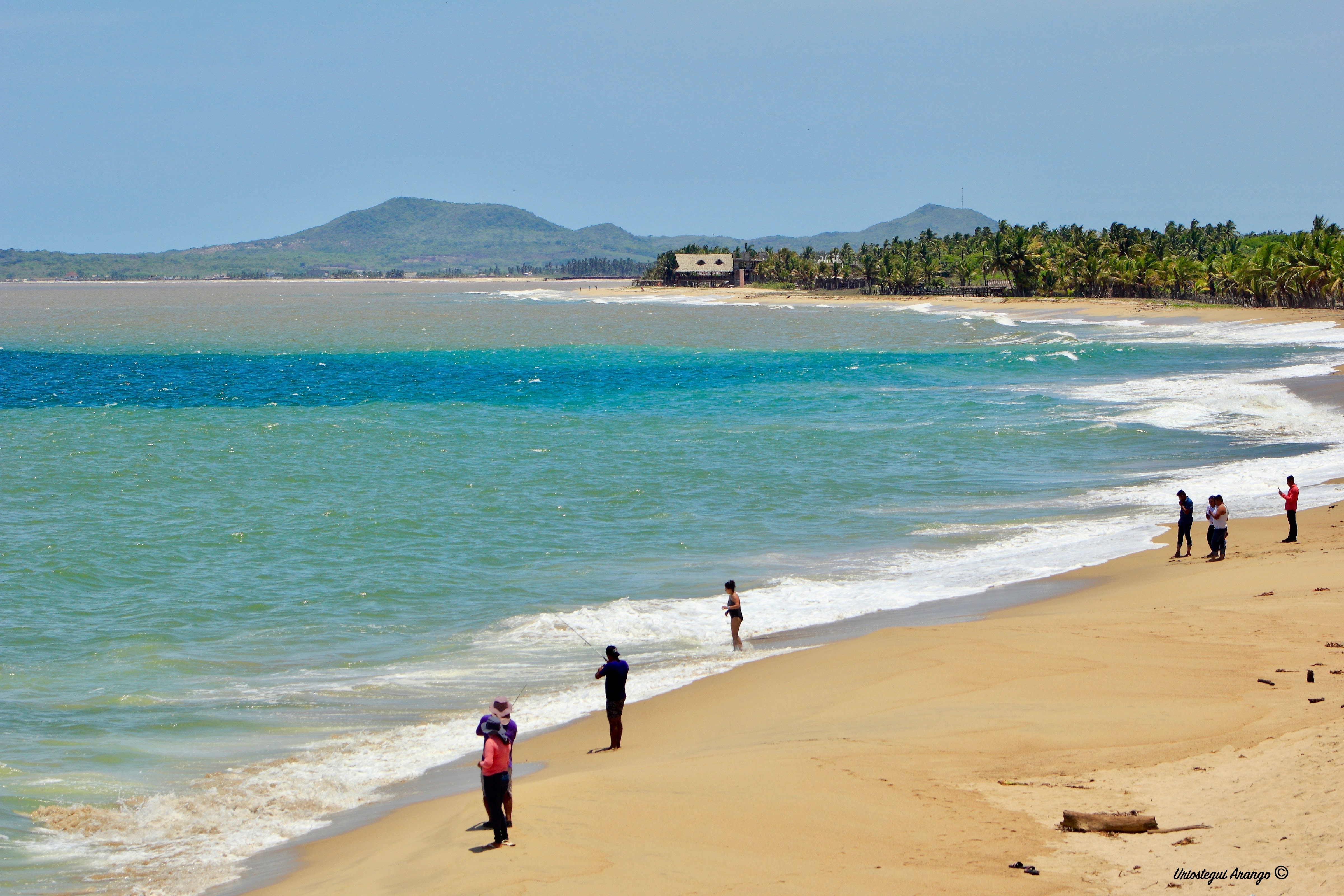 SIRENITO MACHO CAMPAMENTO TORTUGUERO image 5