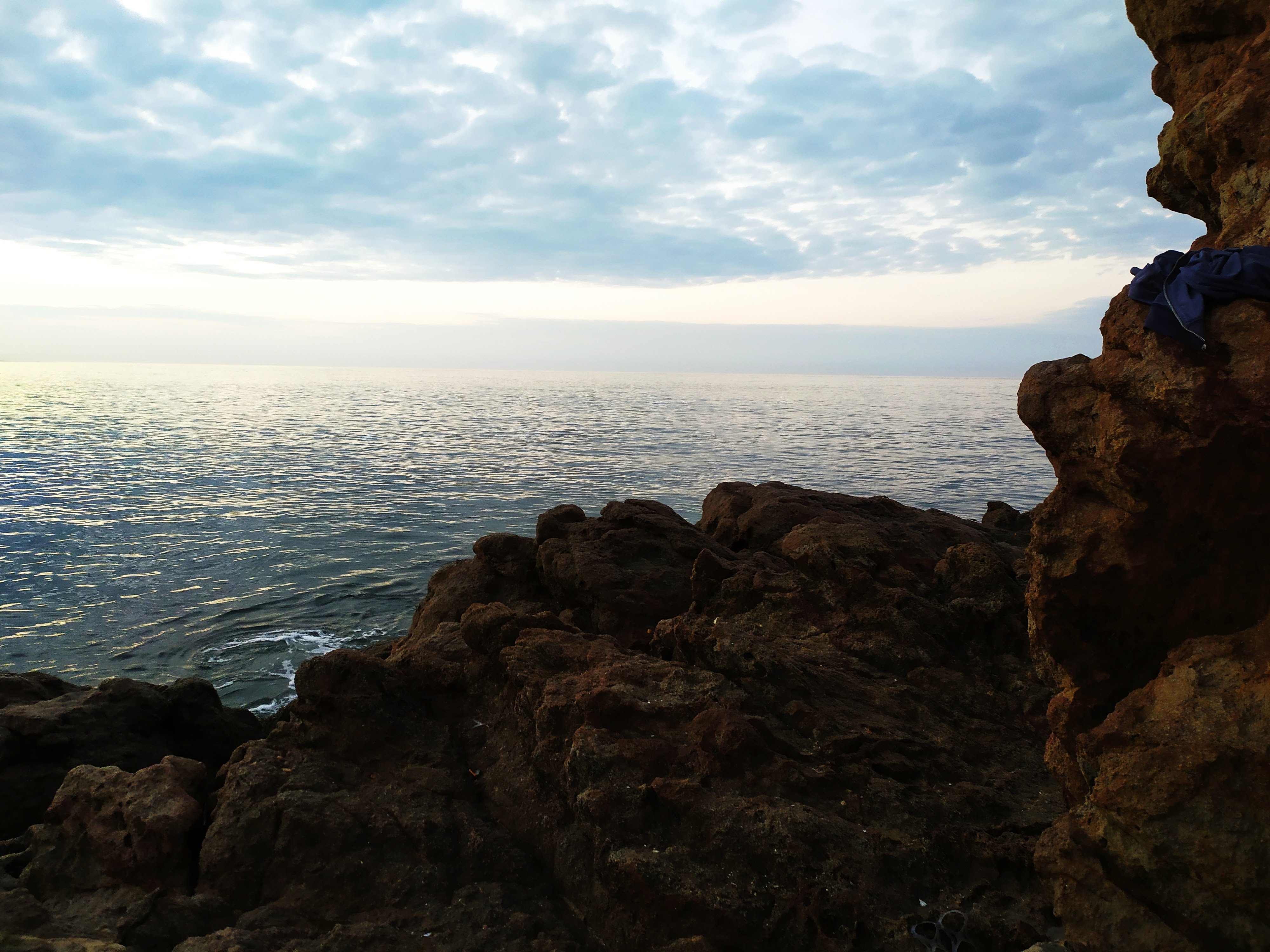 SIRENITO MACHO CAMPAMENTO TORTUGUERO image 9