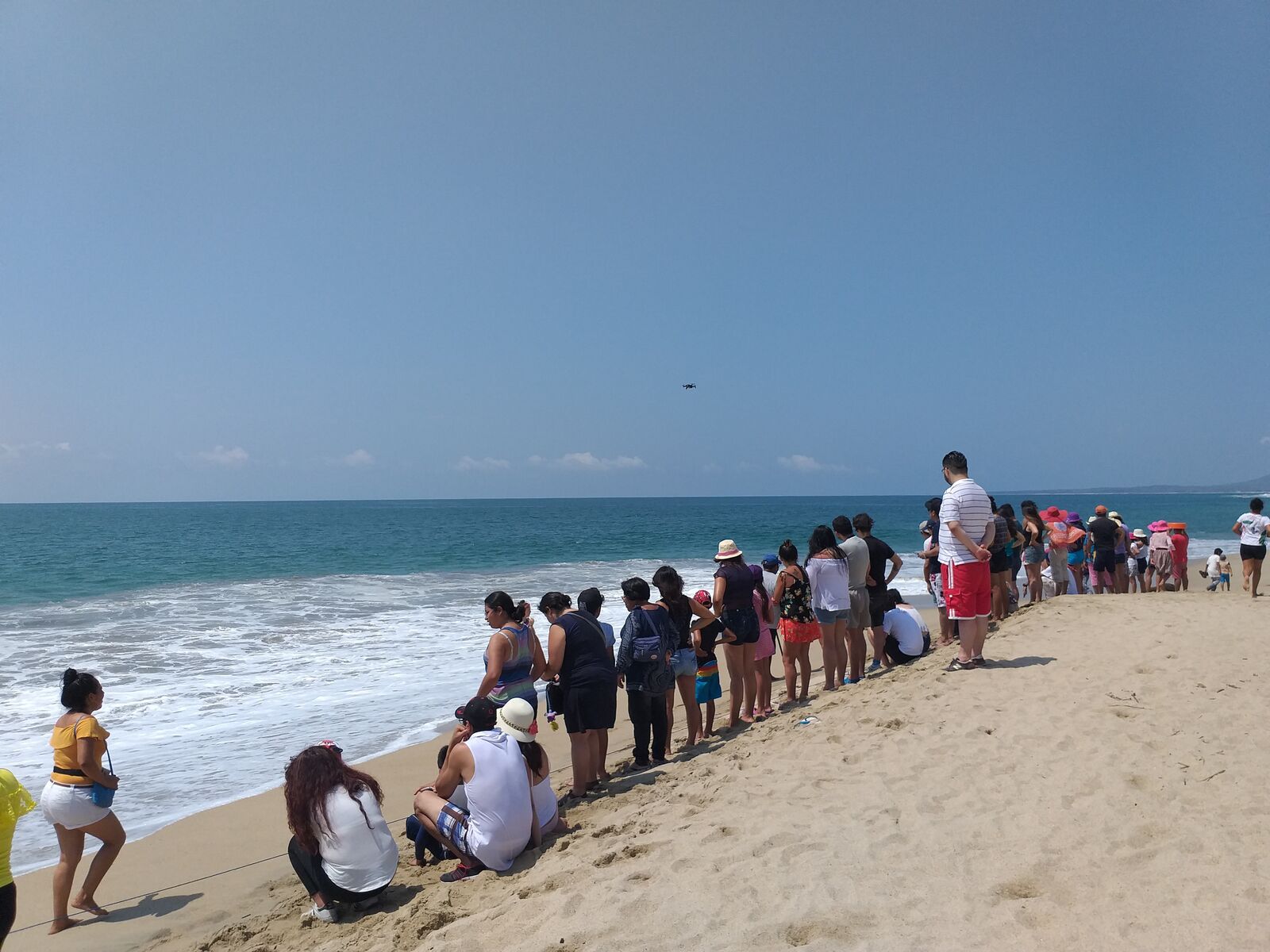 SIRENITO MACHO CAMPAMENTO TORTUGUERO image 10
