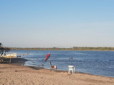 Palapa Evelyn image 3