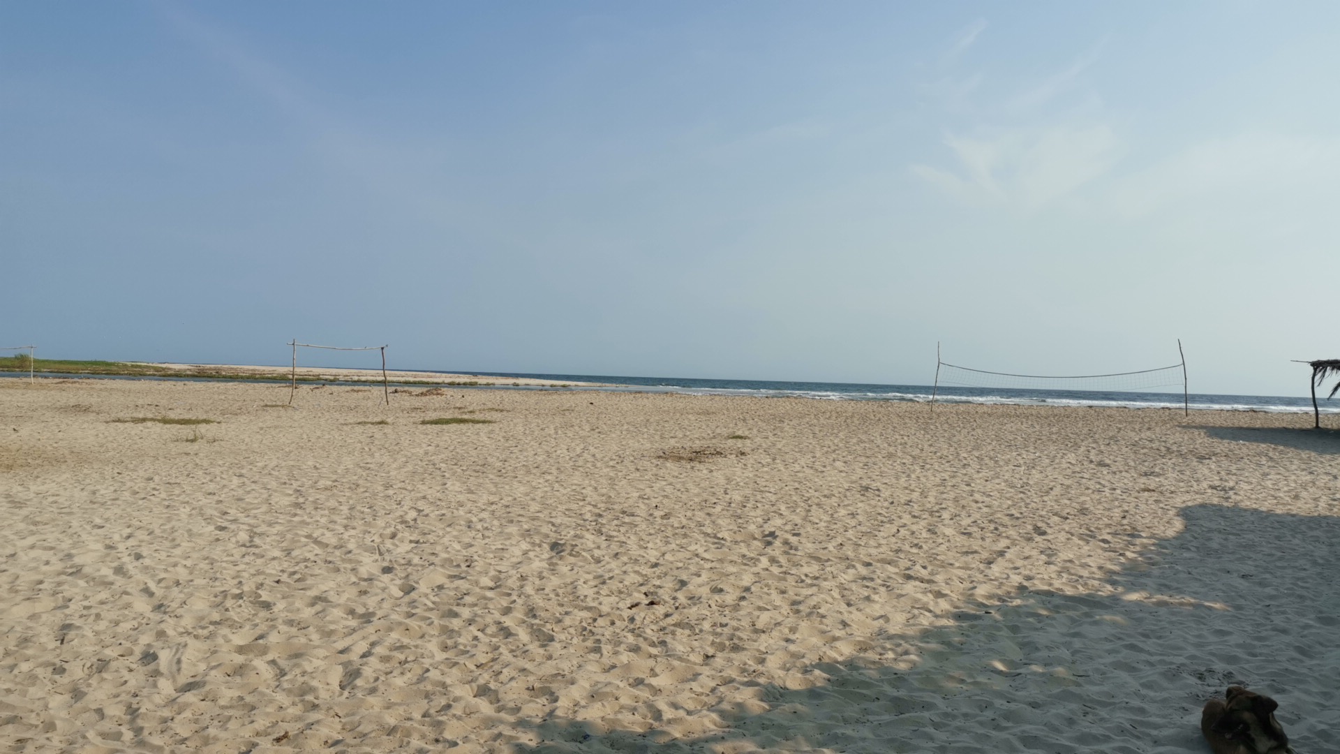 Palapa Evelyn image 4