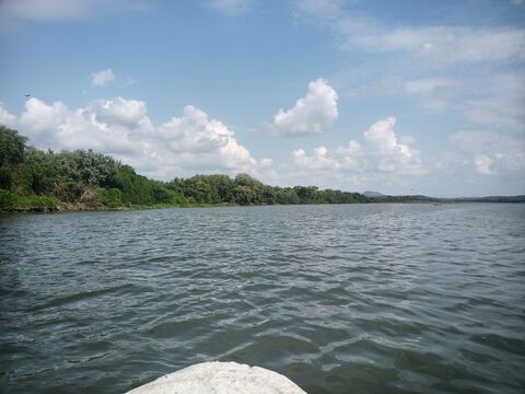 Palapa Evelyn image 6