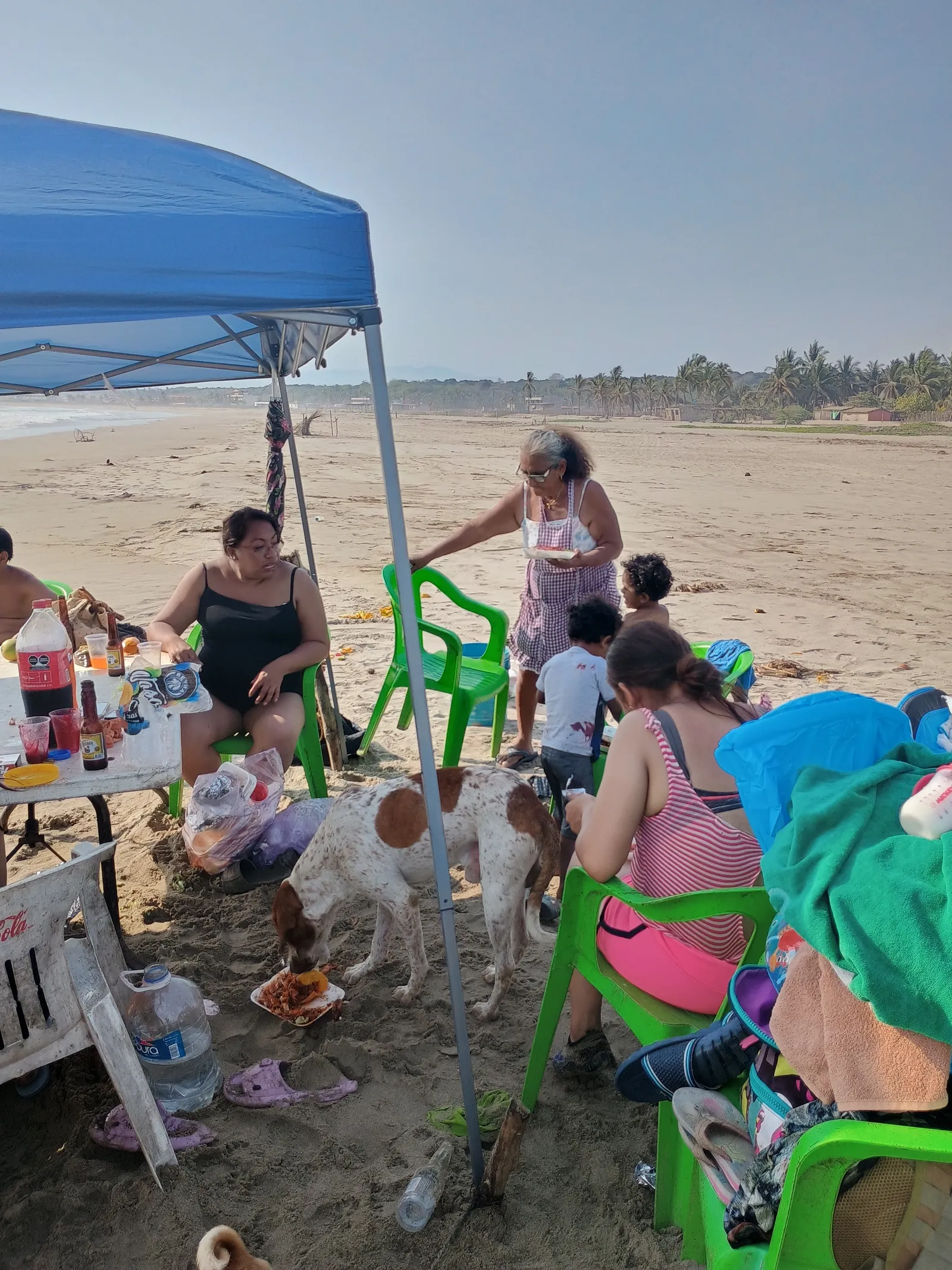 Palapa Evelyn image 7