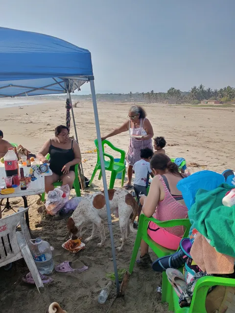 Palapa Evelyn image 7