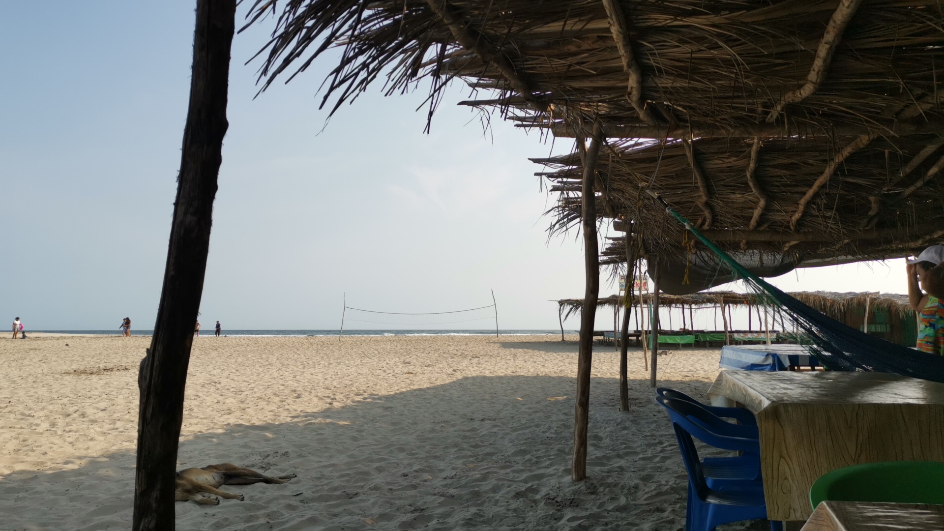 Palapa Evelyn image 10