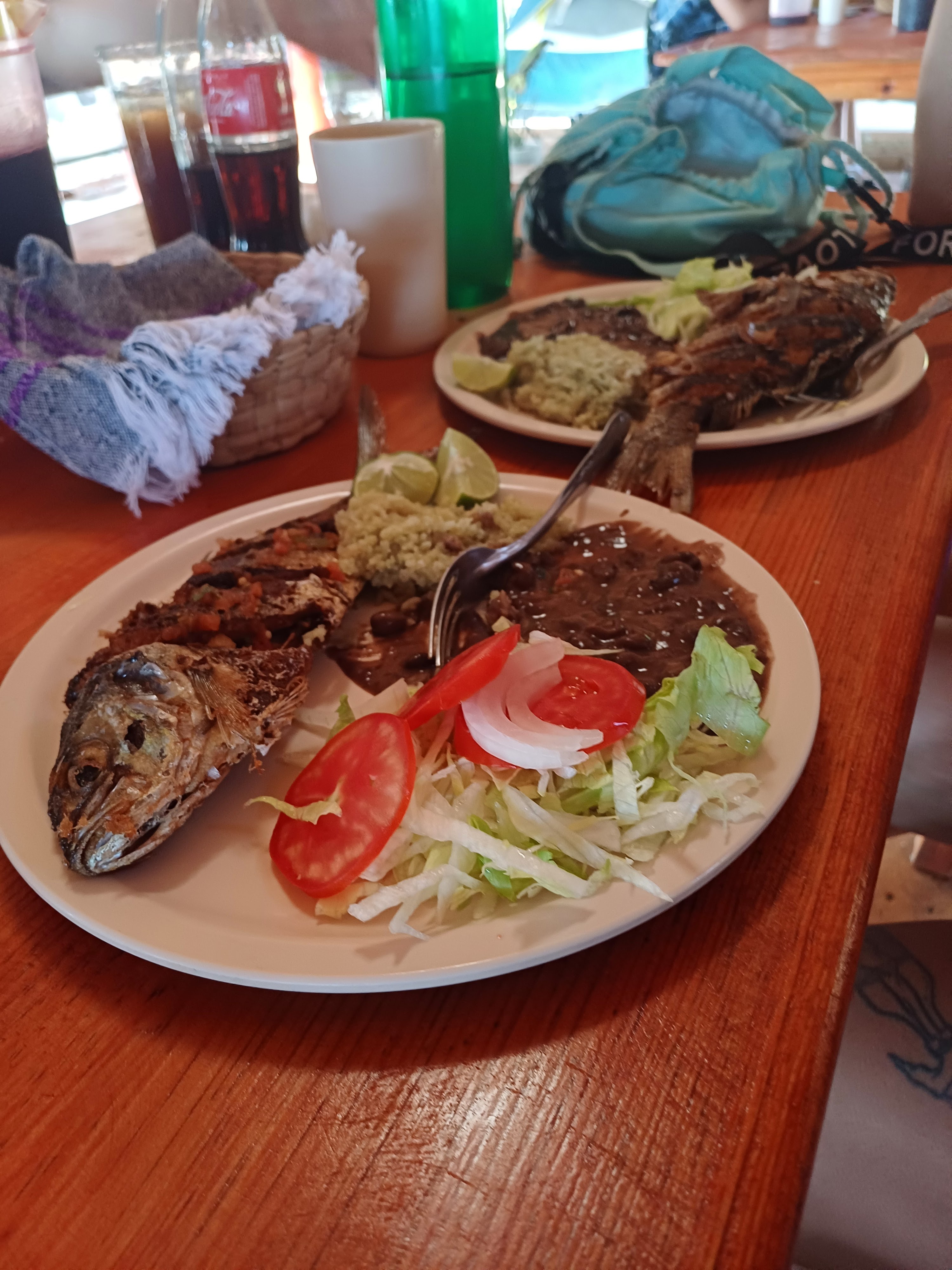 Campamento Tortuguero "El Lobo Marino" image 2