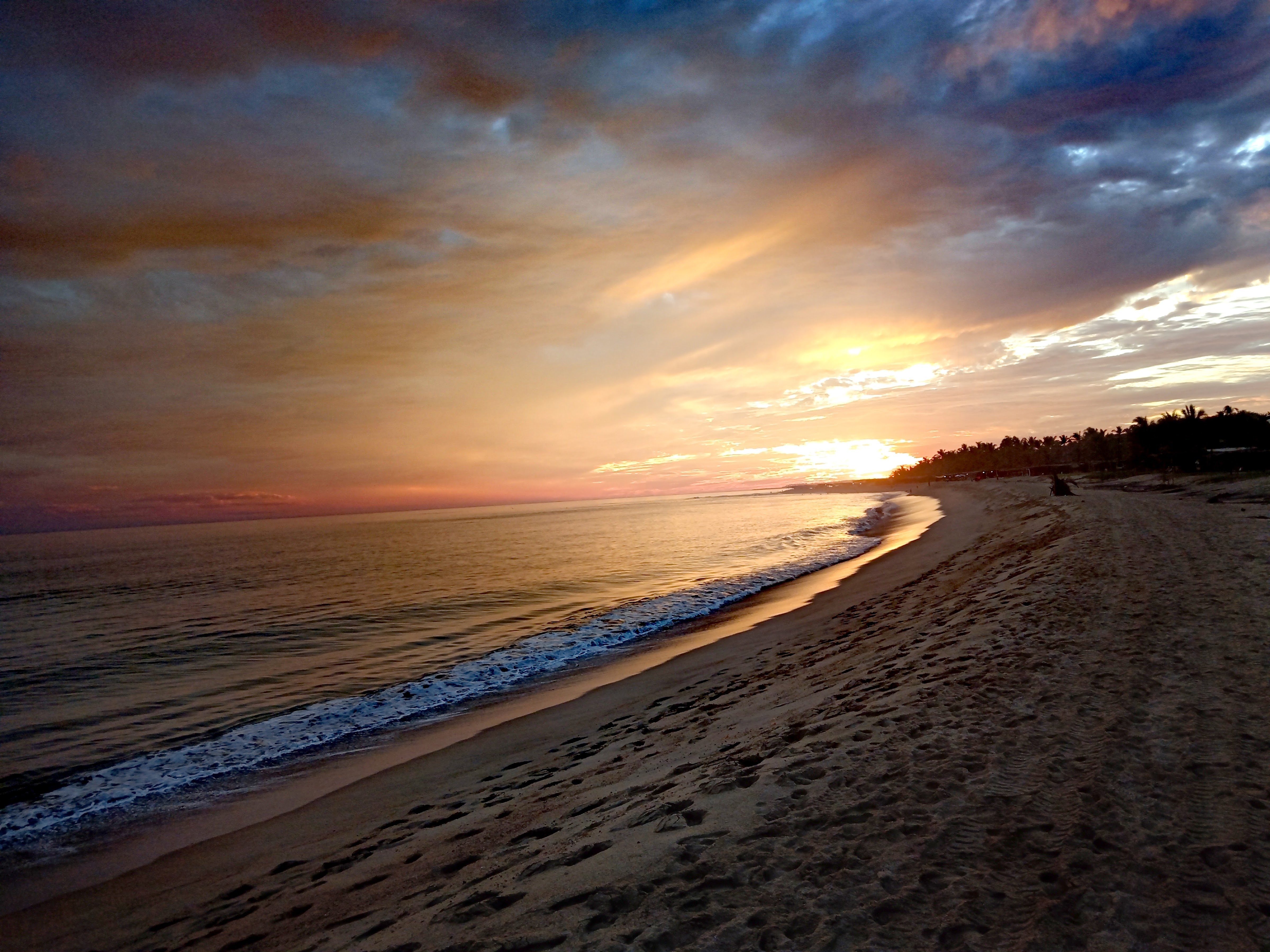 Campamento Tortuguero "El Lobo Marino" image 3