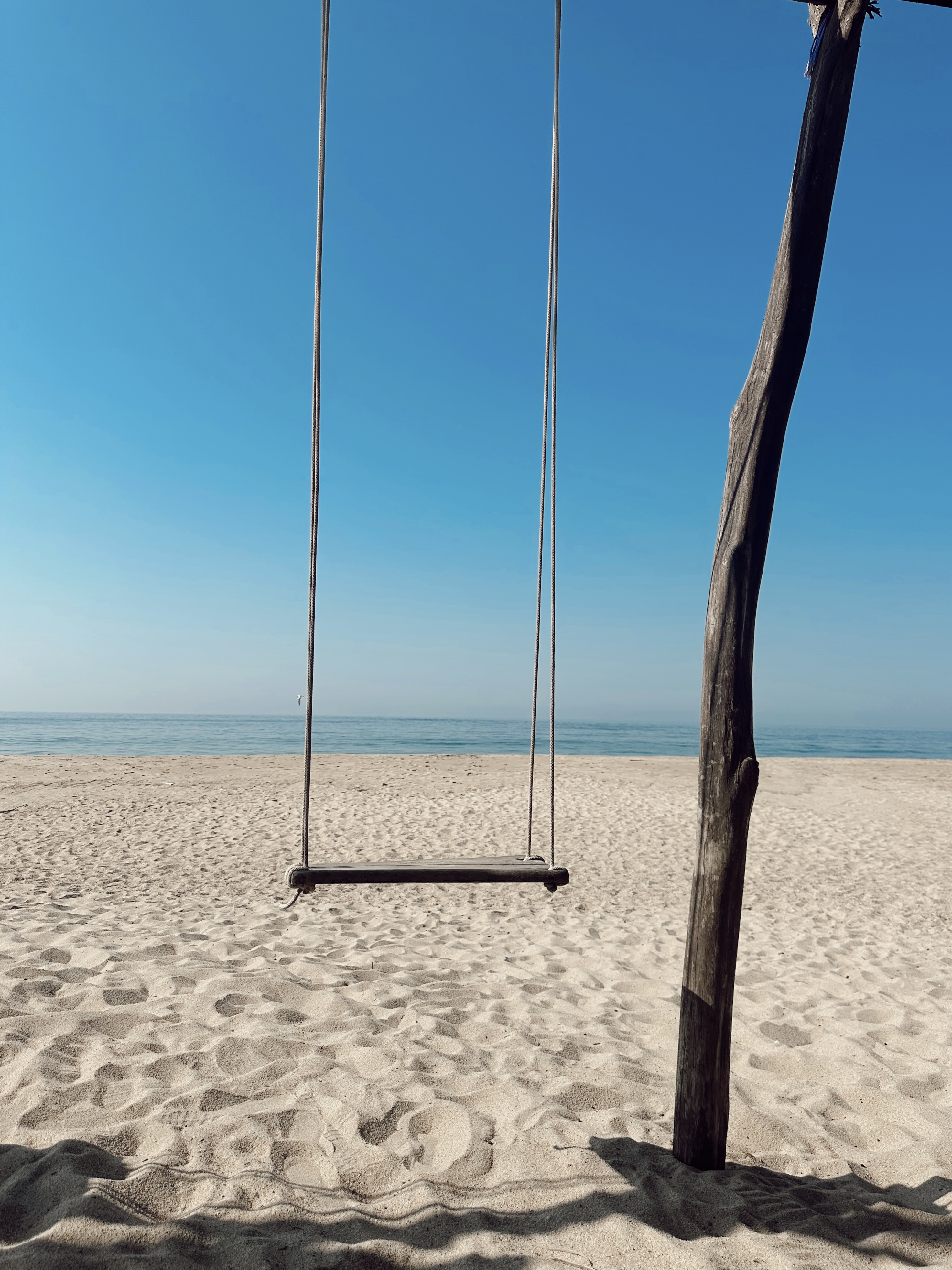 Campamento Tortuguero "El Lobo Marino" image 6