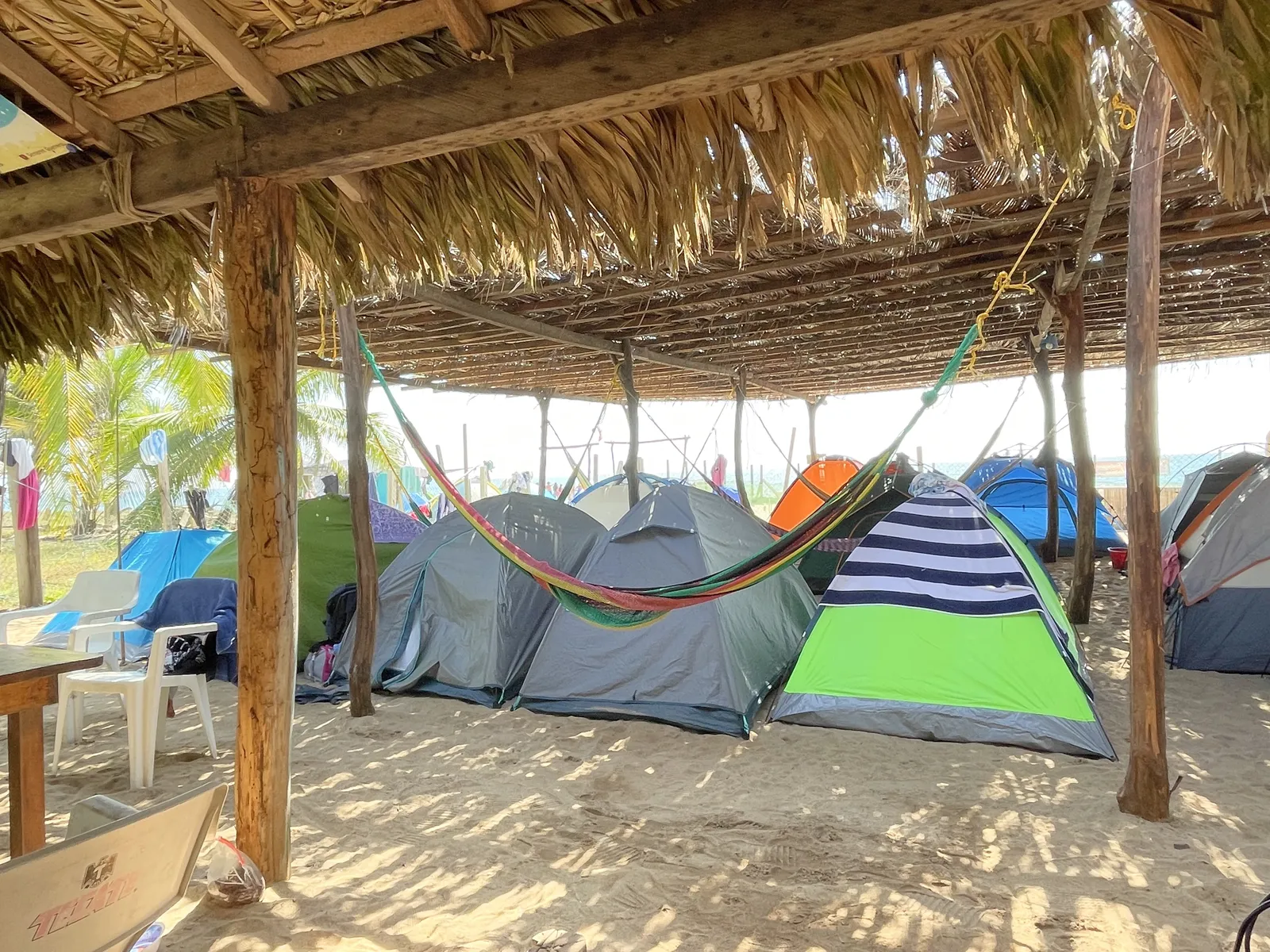 Campamento Tortuguero "El Lobo Marino" image 8