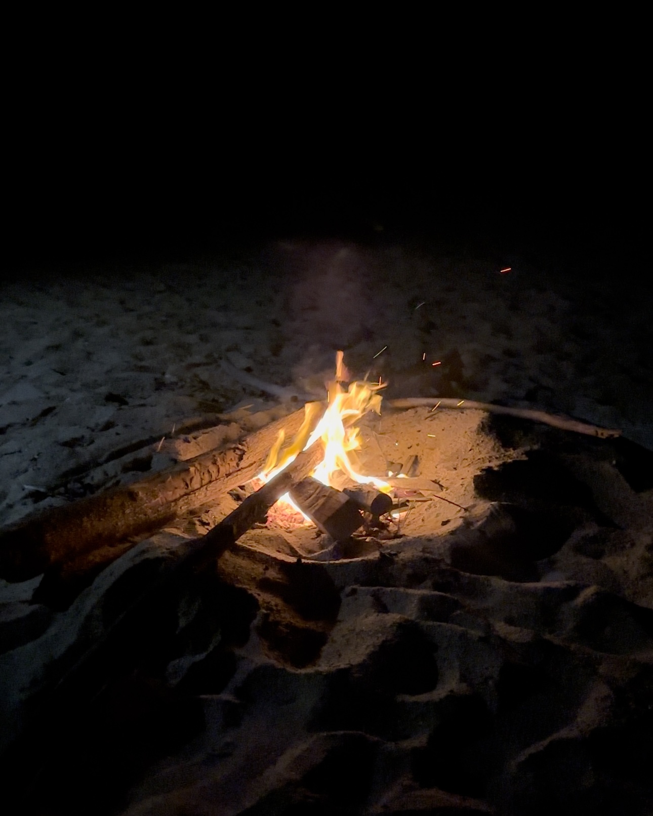 Campamento Tortuguero "El Lobo Marino" image 9