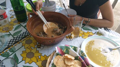 Palapa Maria Jose image 4