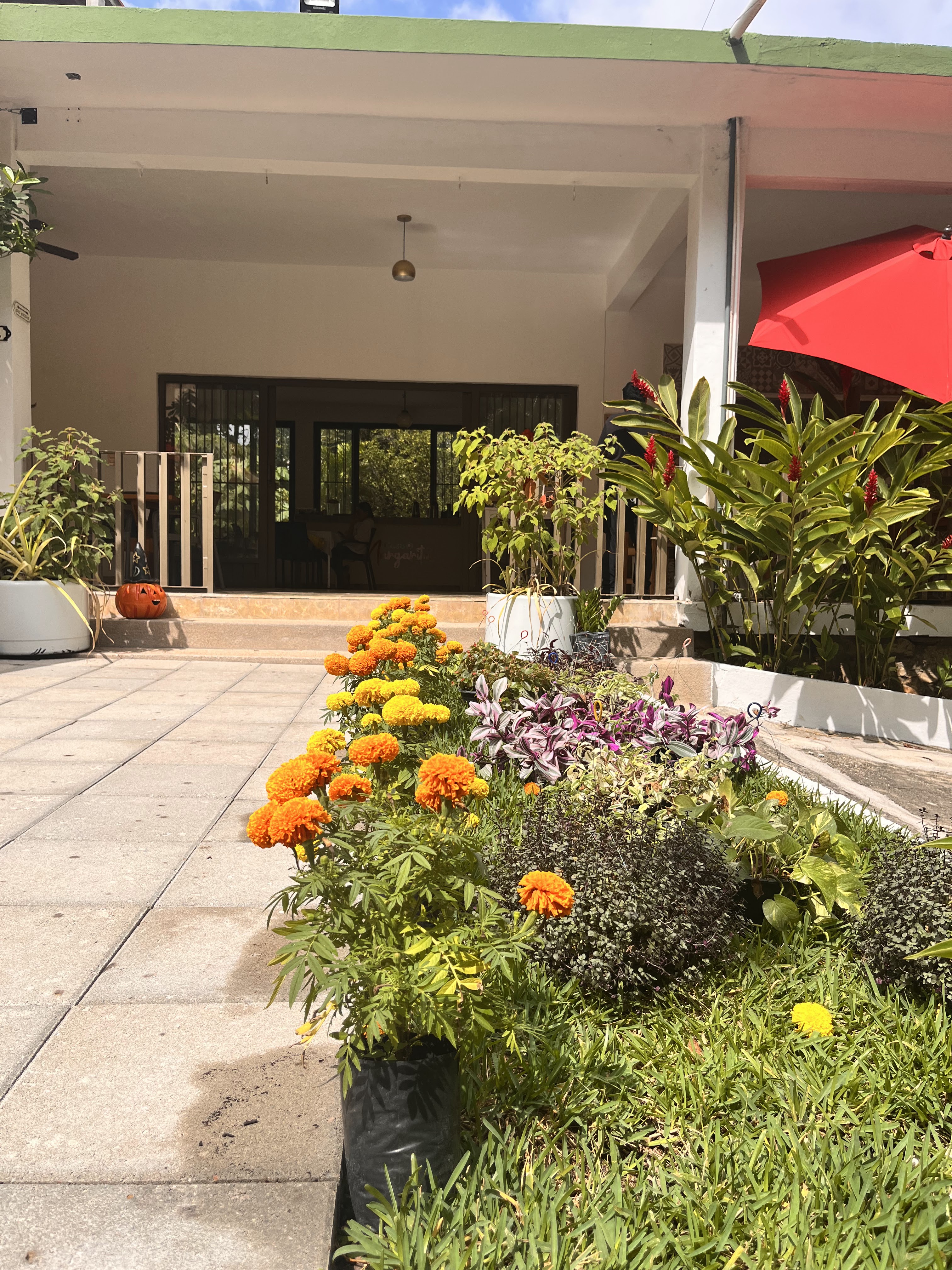 Casa Margaritas. Restaurant & Jardín image 8