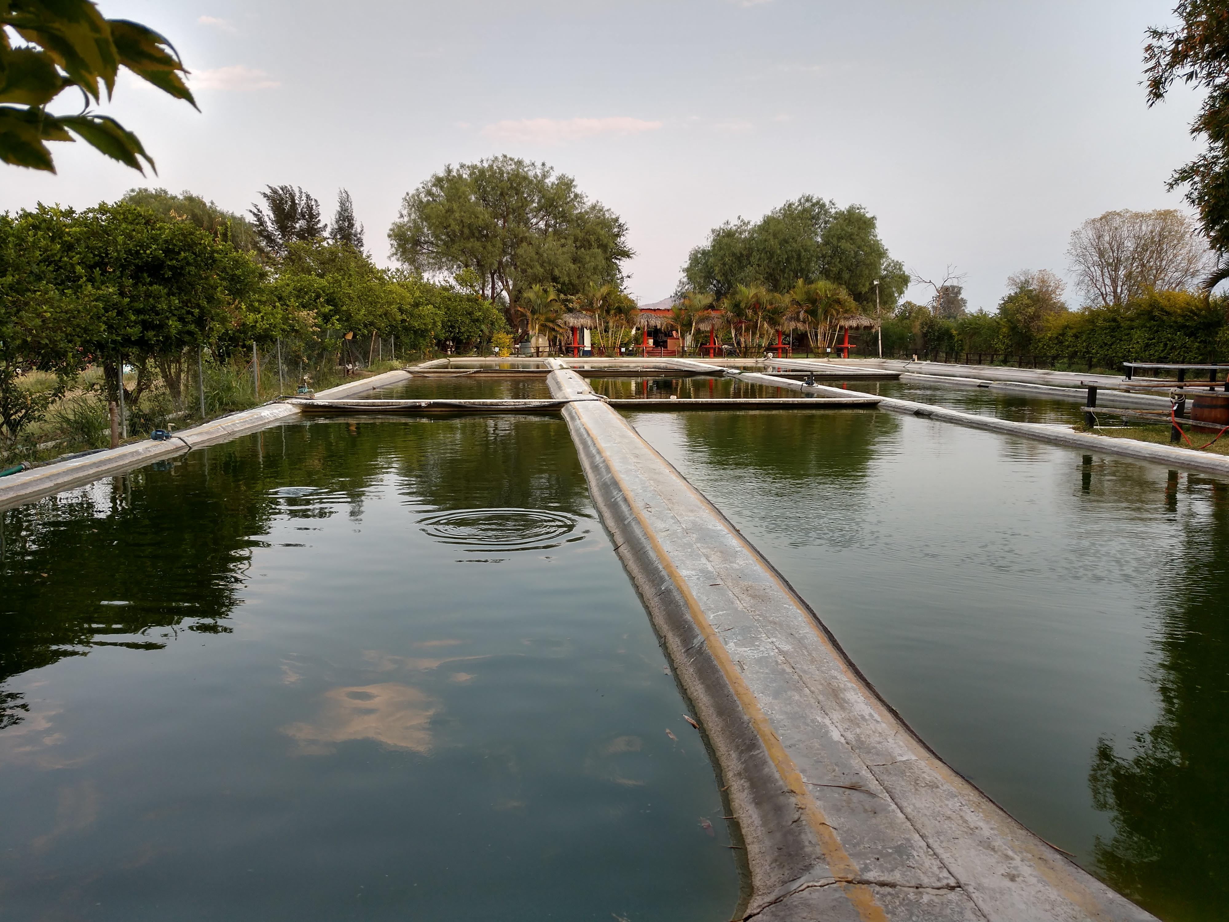 Rancho mojarra image 3