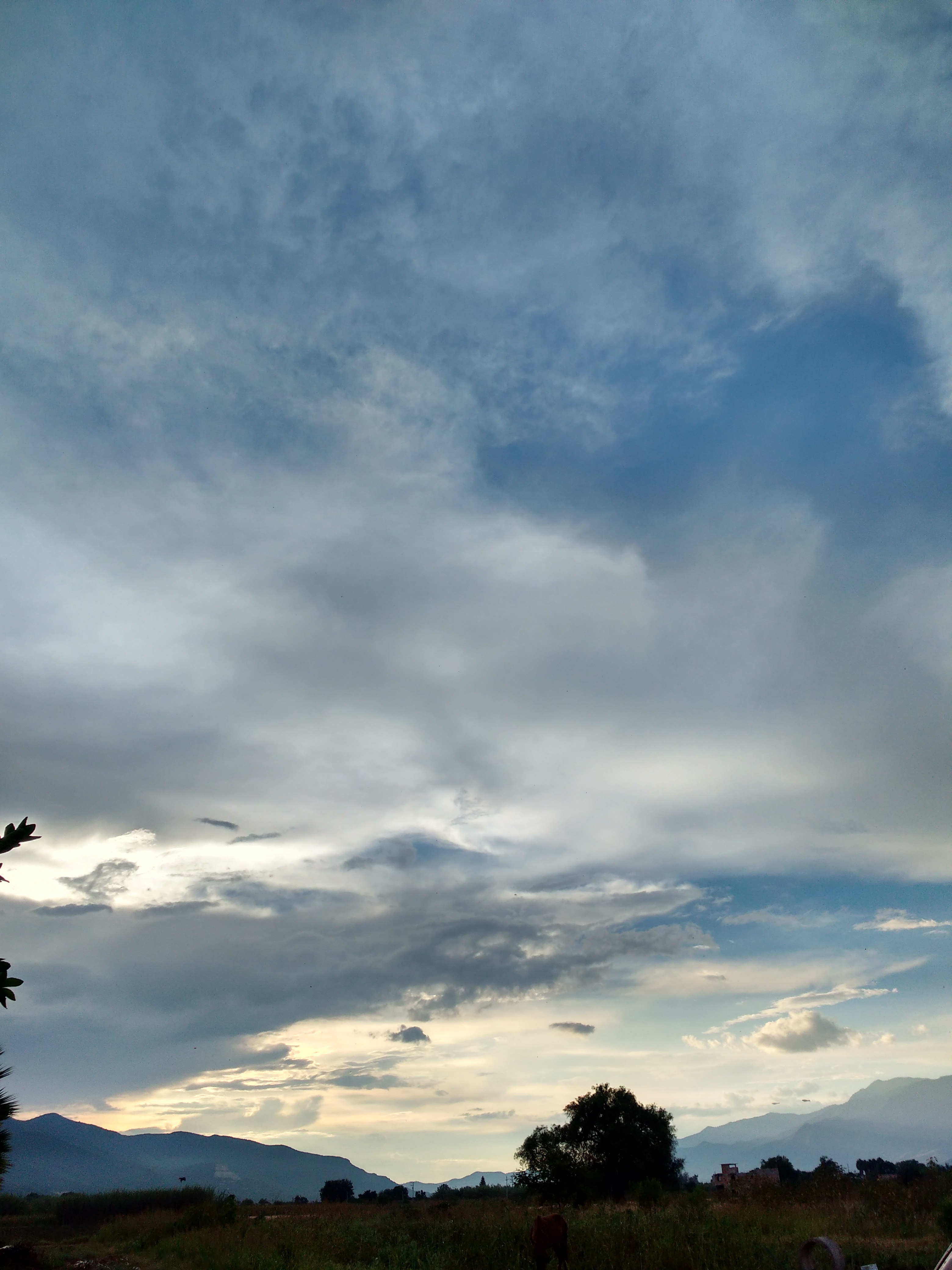 Rancho mojarra image 8