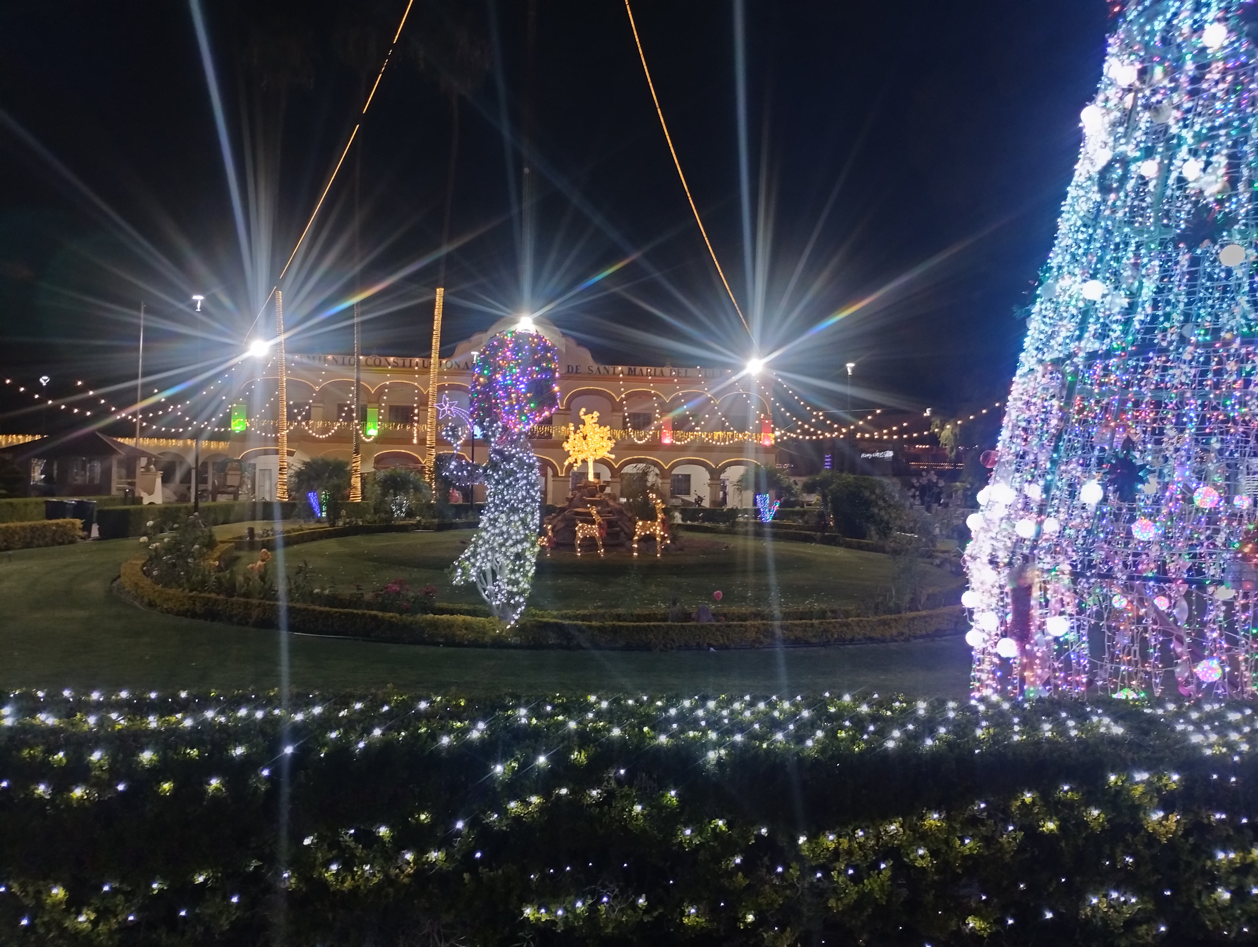 Rosticeria Rico Pollo Naomi, image 2