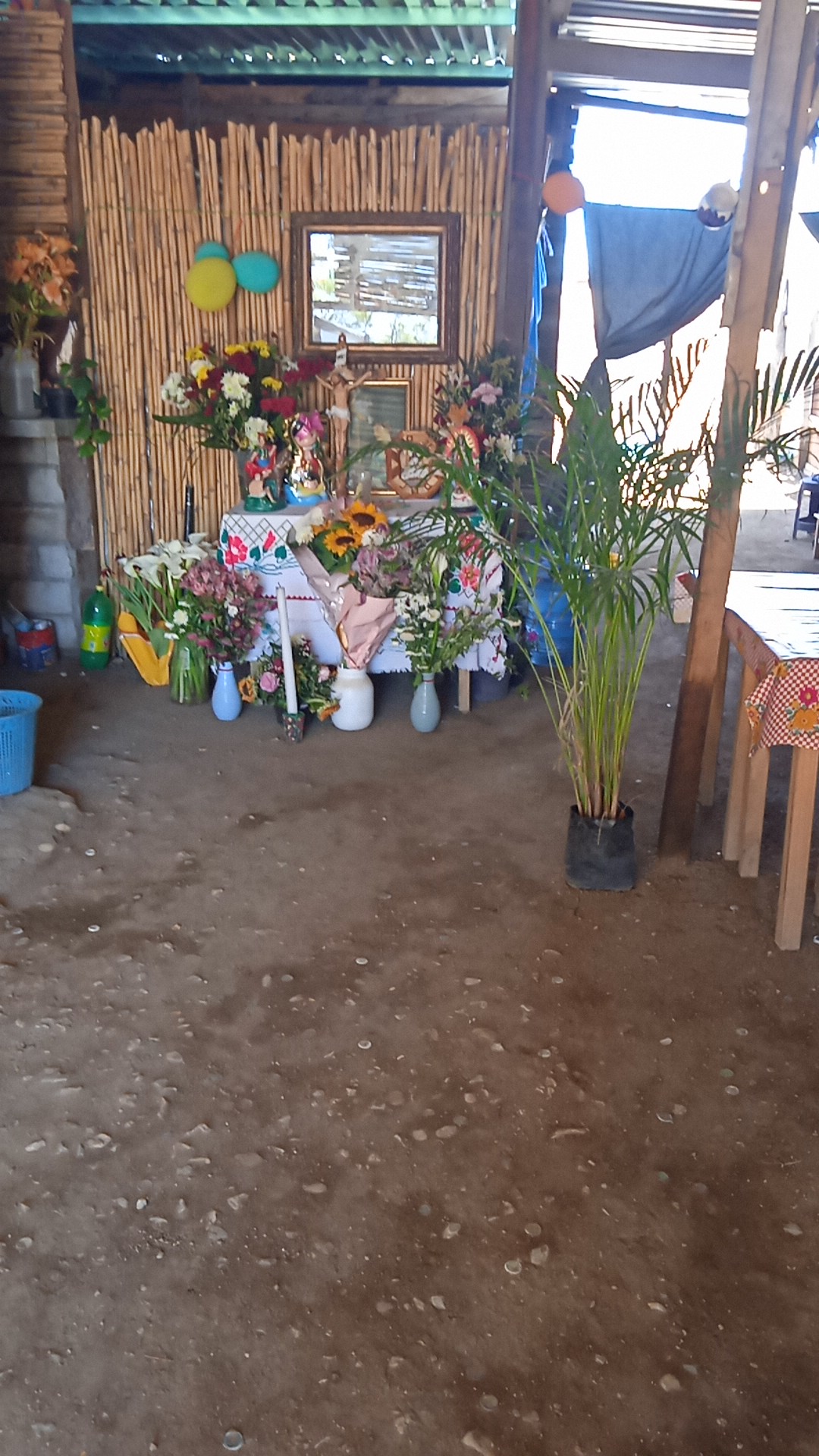 Marisquería los Abuelos image 4