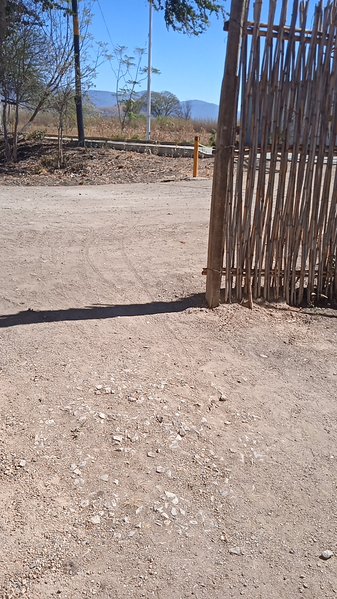 Marisquería los Abuelos image 6