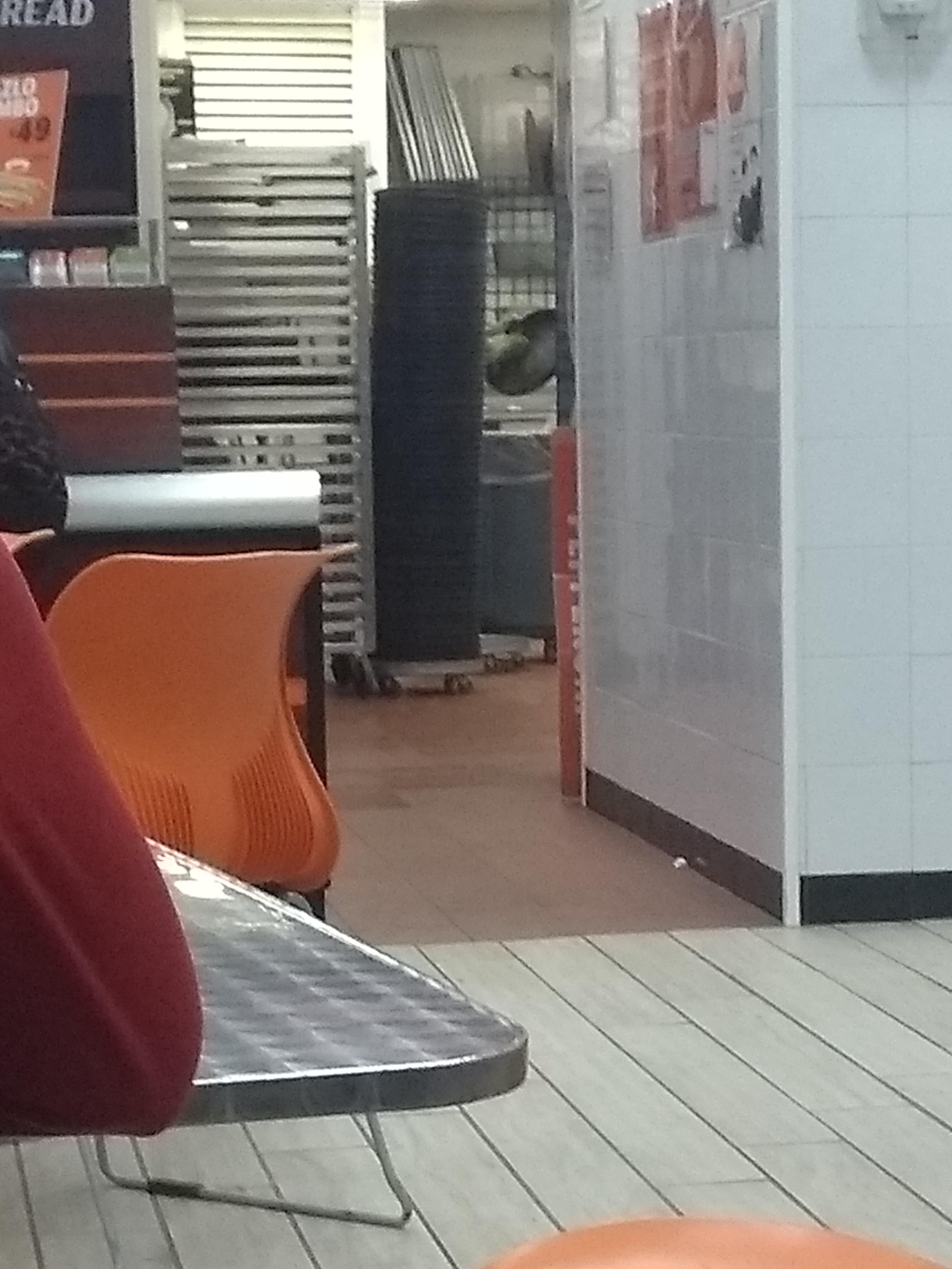 Little Caesar Pizza image 9