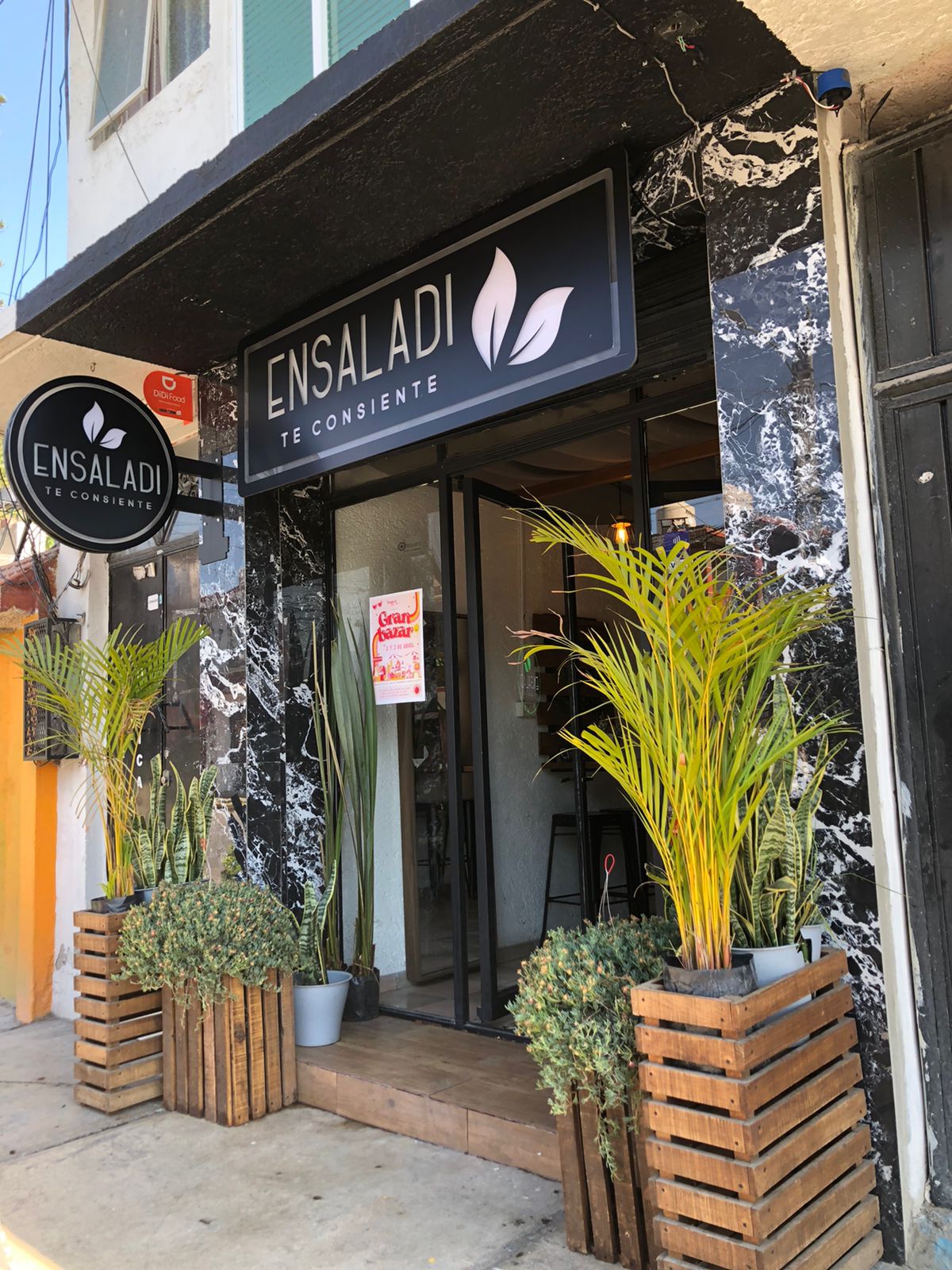 Ensaladi Te Consiente image 1