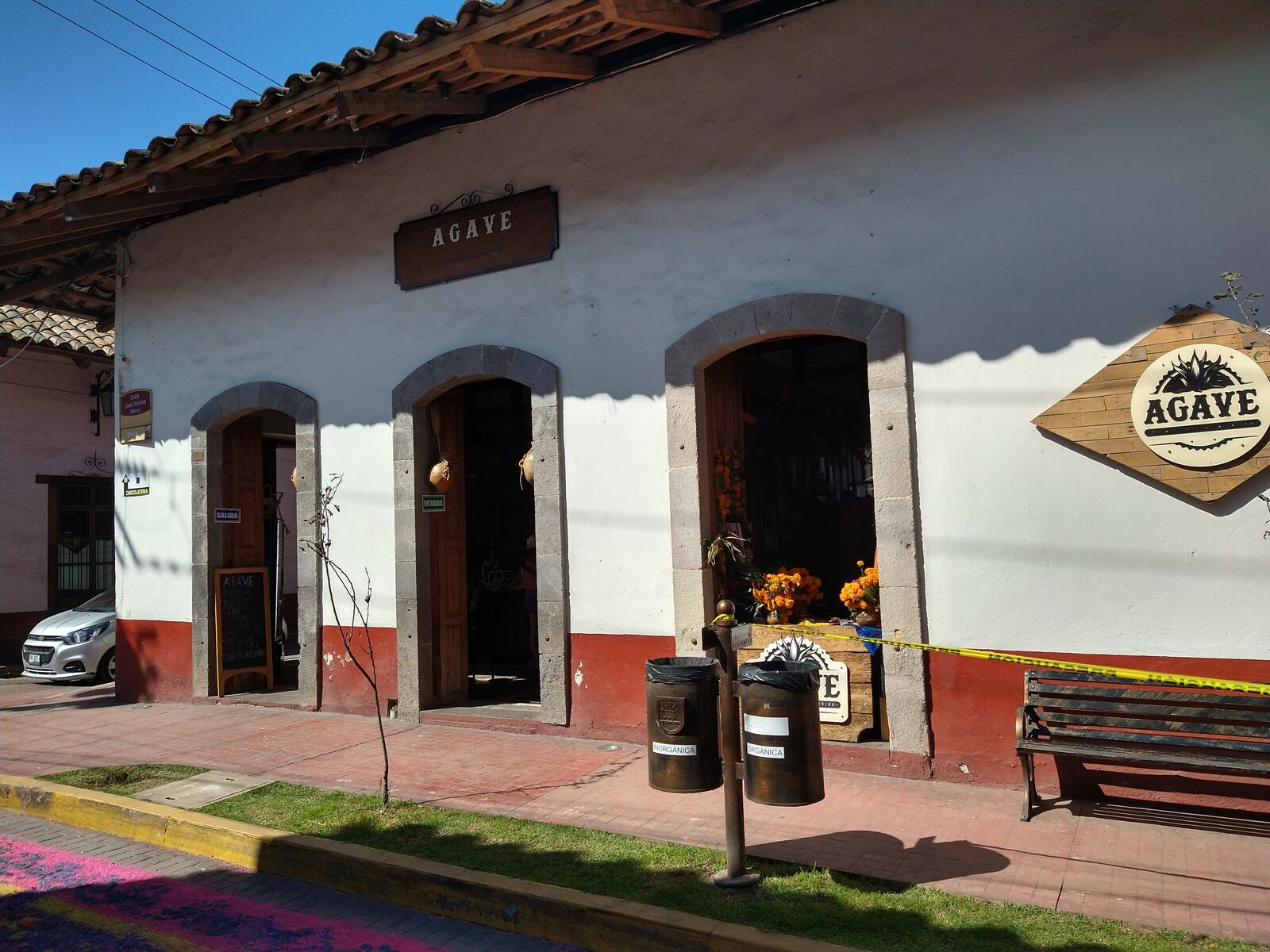 Agave image 7