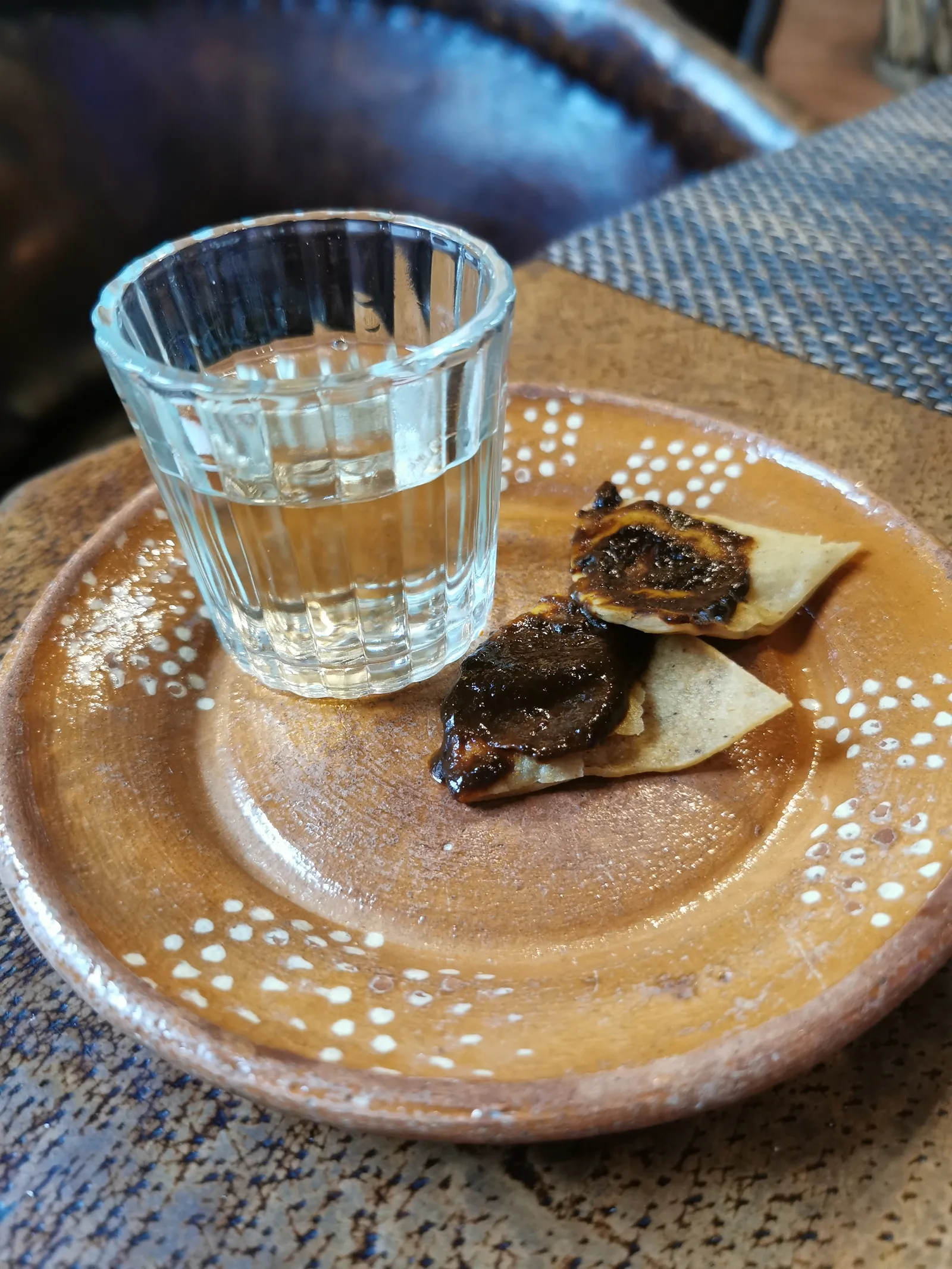 Agave image 10