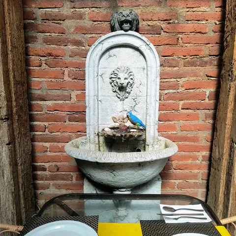 Casa Fernández 1876 image 7