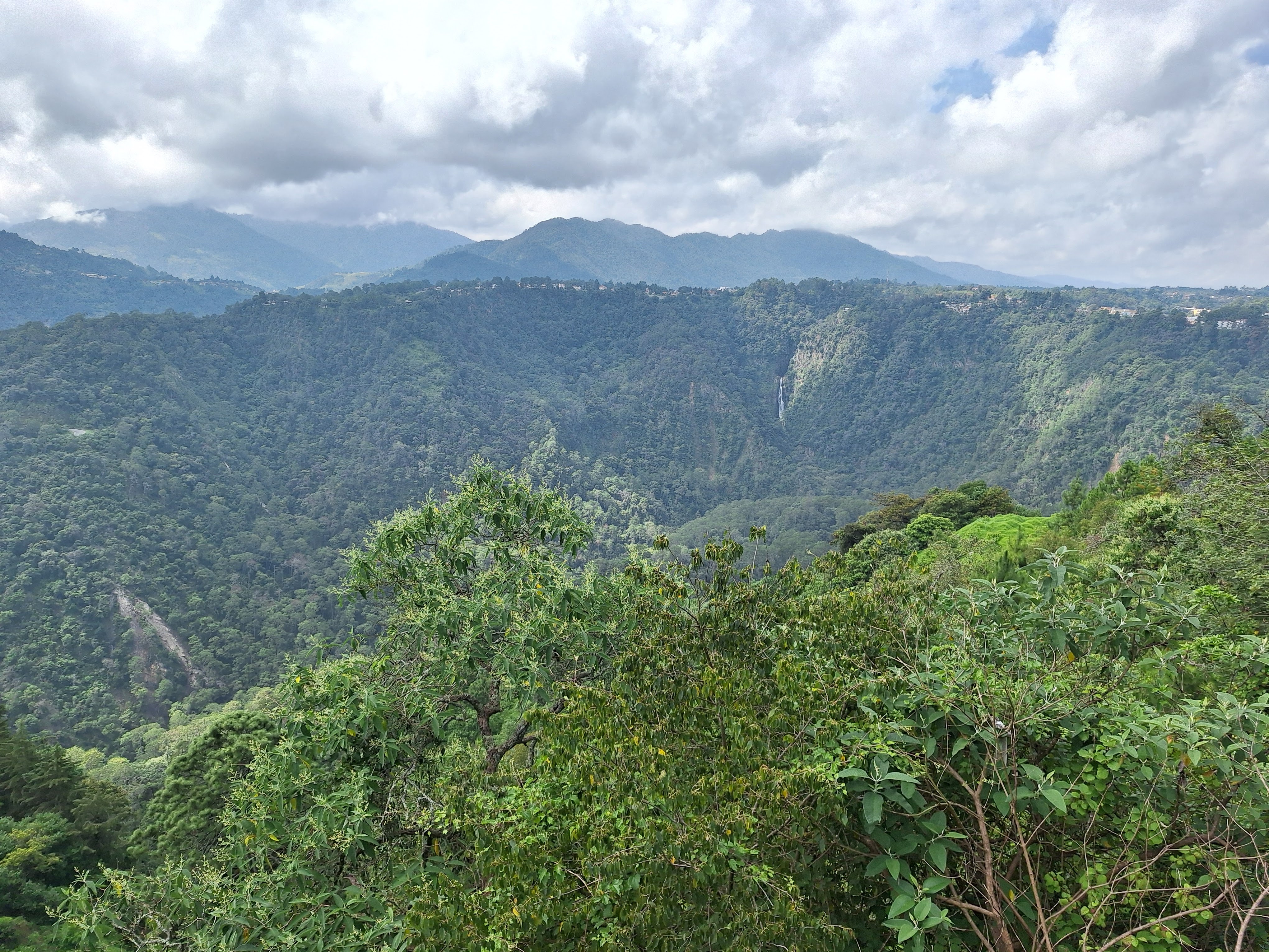 La Barranca "El Mirador #5" image 3