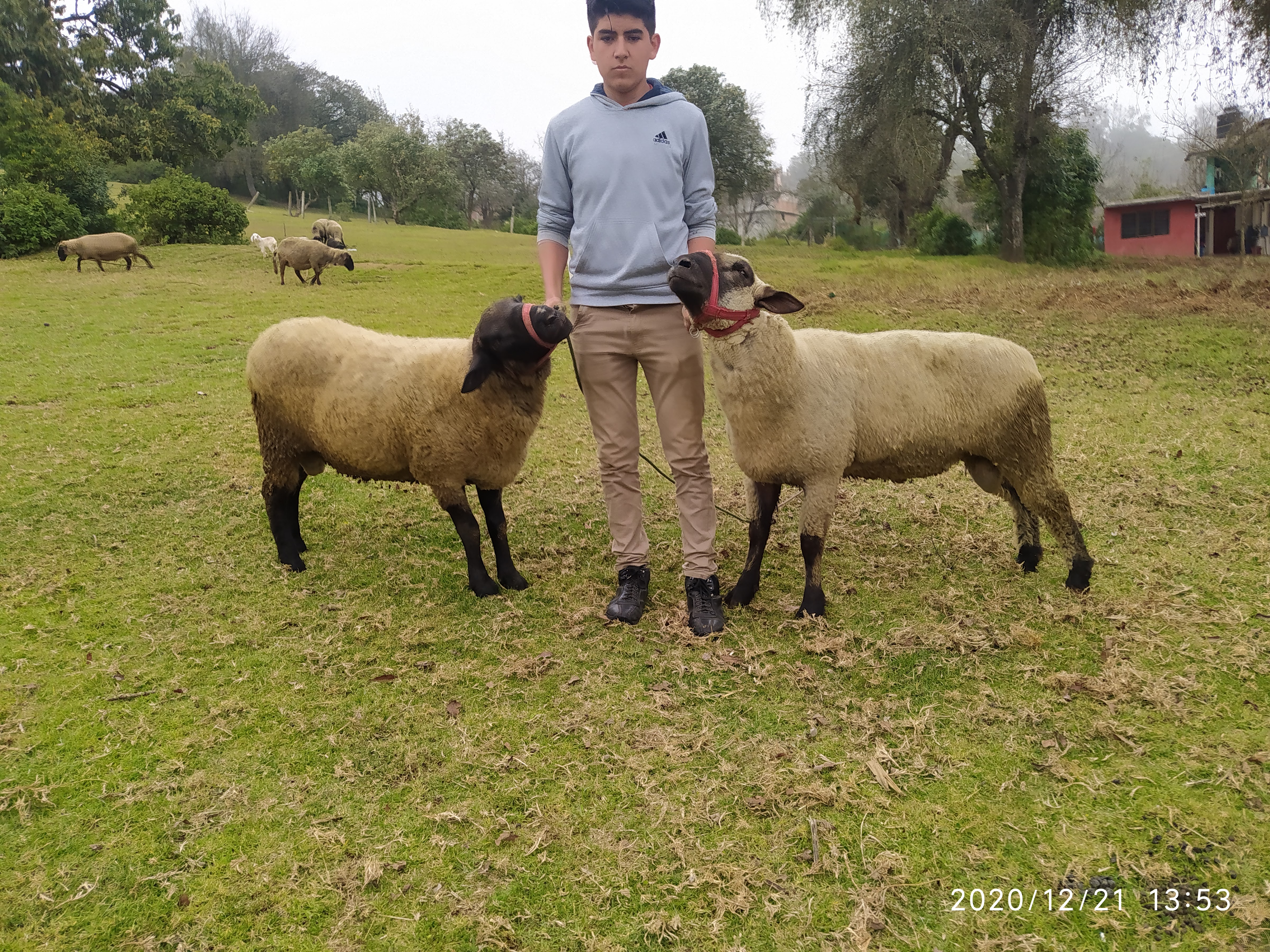 Tortillería Doña Vero image 2