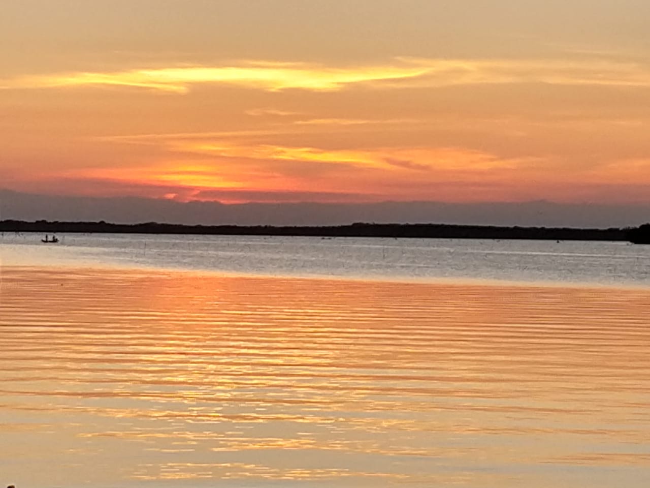 La Ostión Restaurante image 2