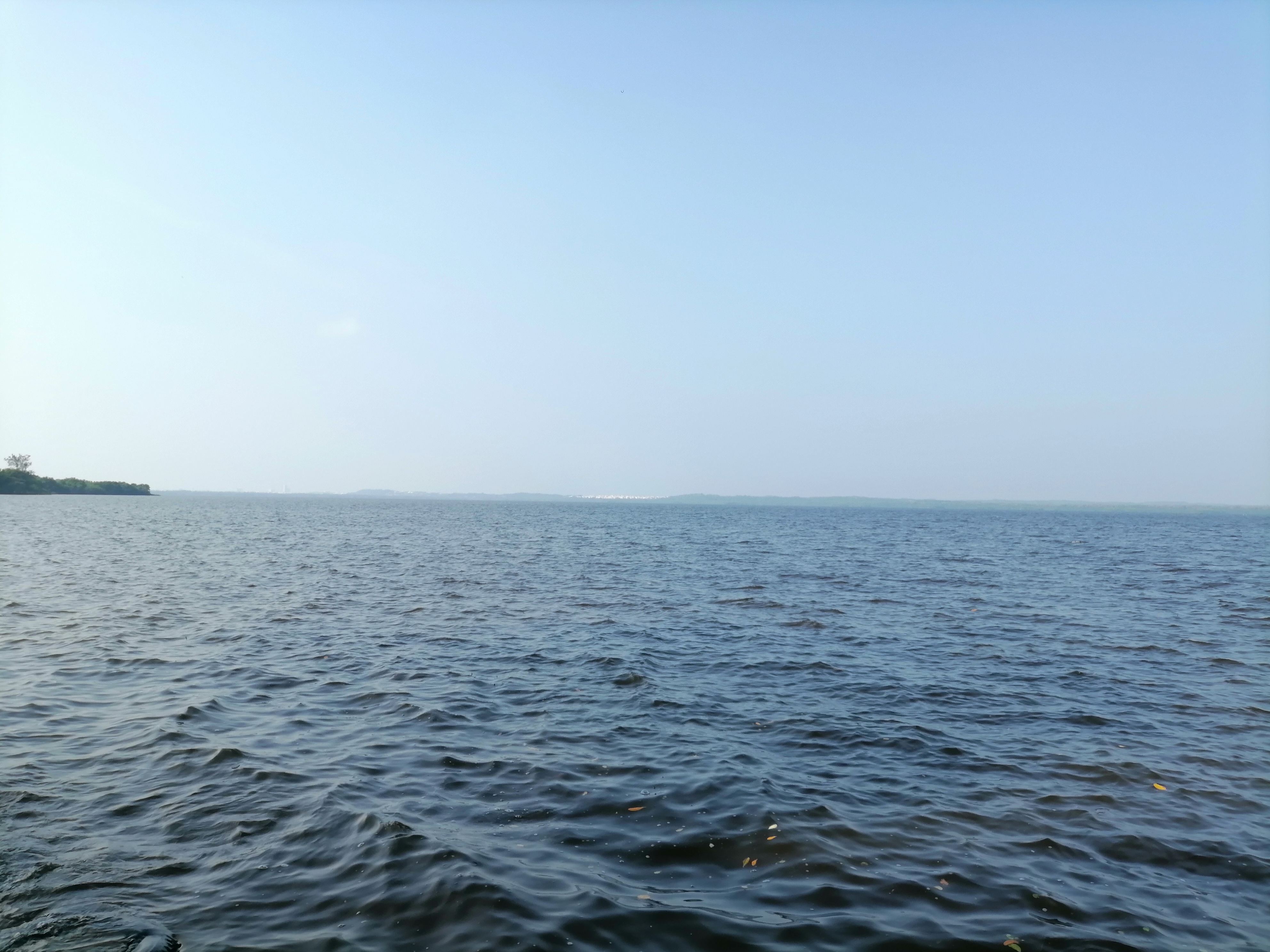 Restaurant La Pasadita, La Laguna Veracruz image 2