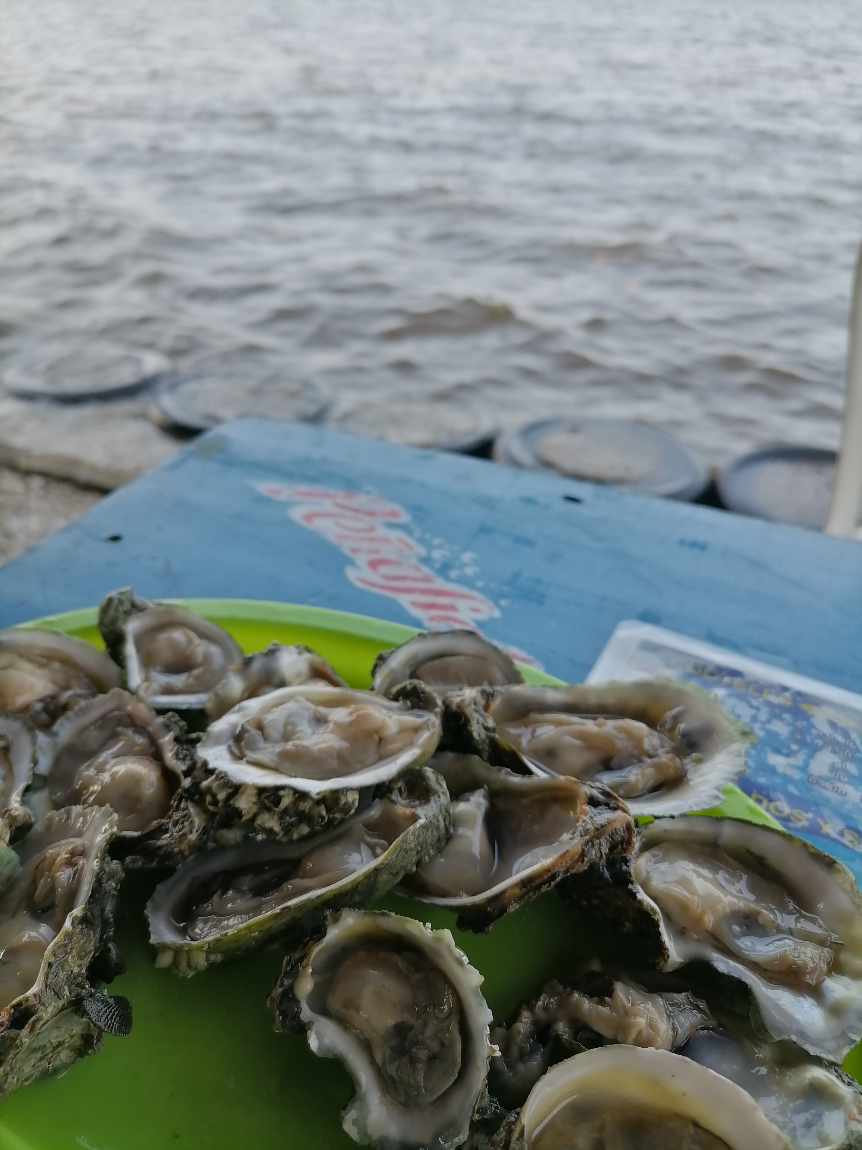 Restaurant La Pasadita, La Laguna Veracruz image 3