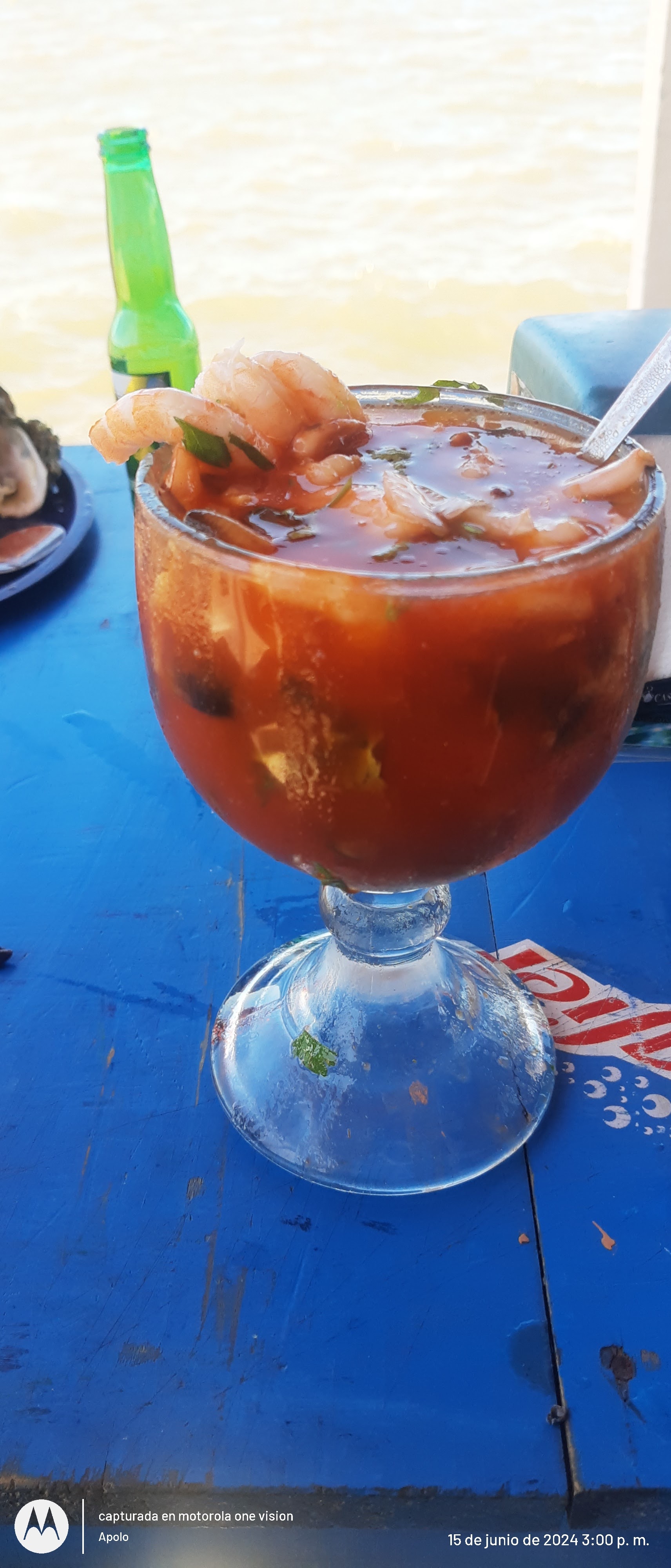 Restaurant La Pasadita, La Laguna Veracruz image 5