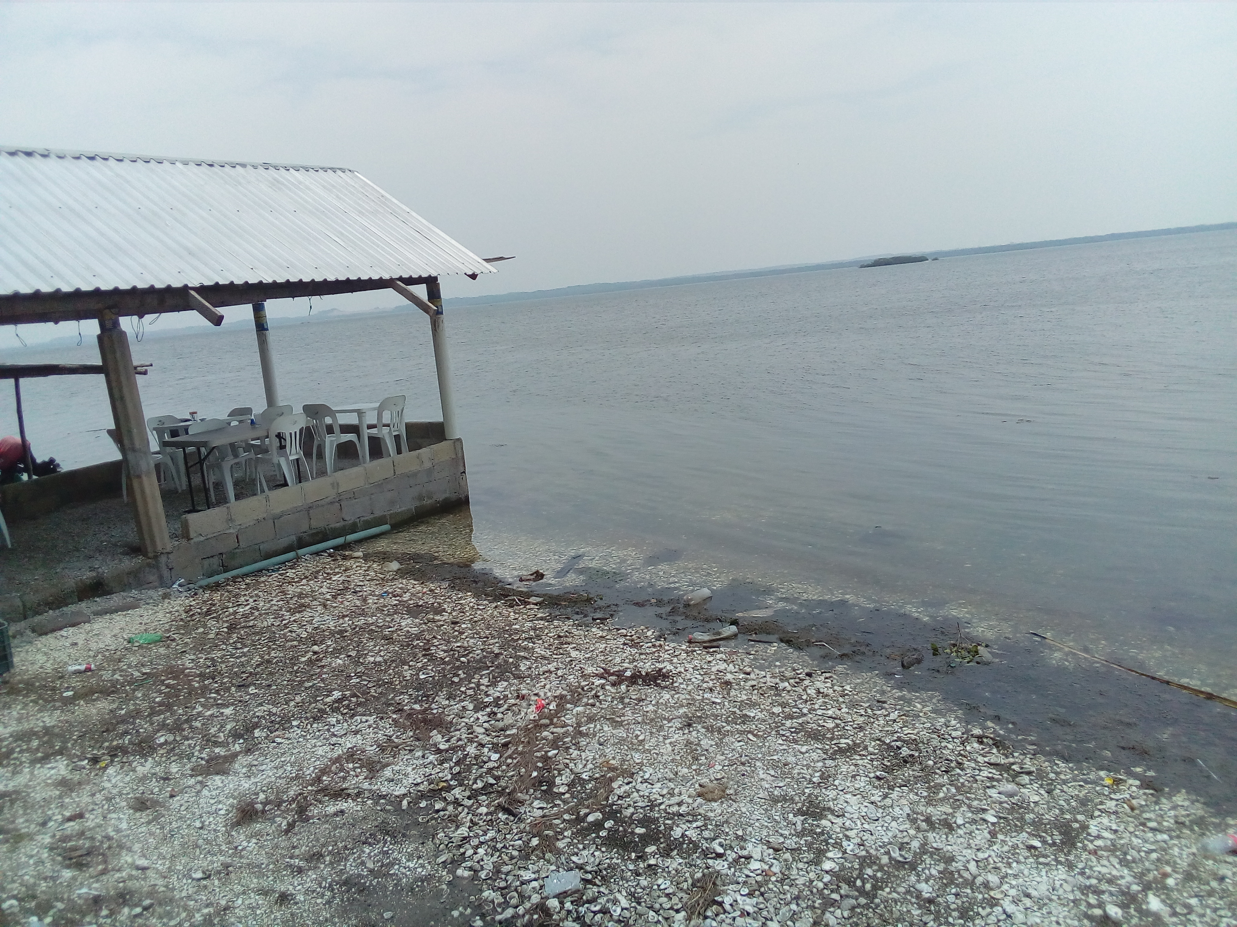 Restaurant La Pasadita, La Laguna Veracruz image 6