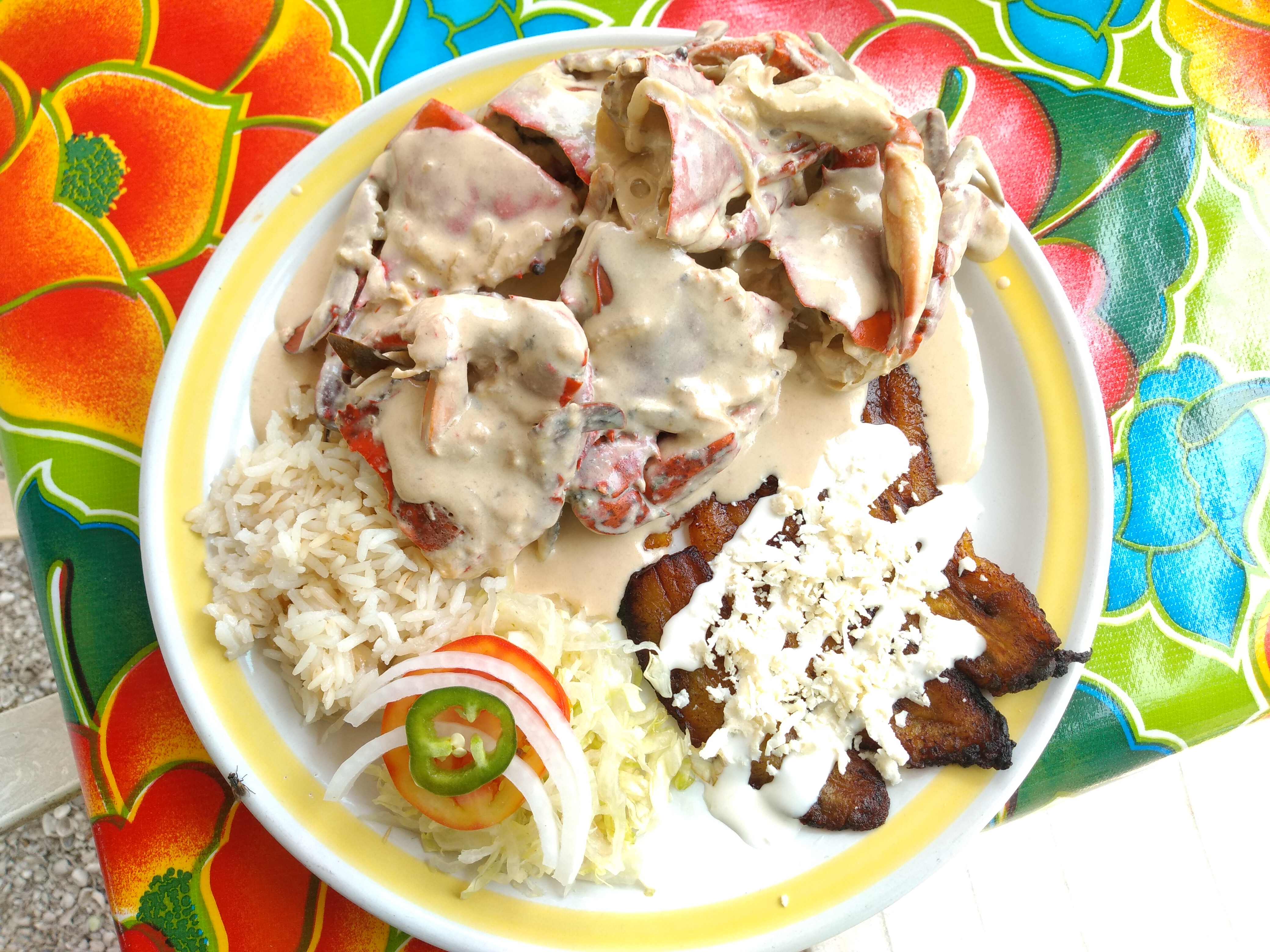 Restaurant La Pasadita, La Laguna Veracruz image 8