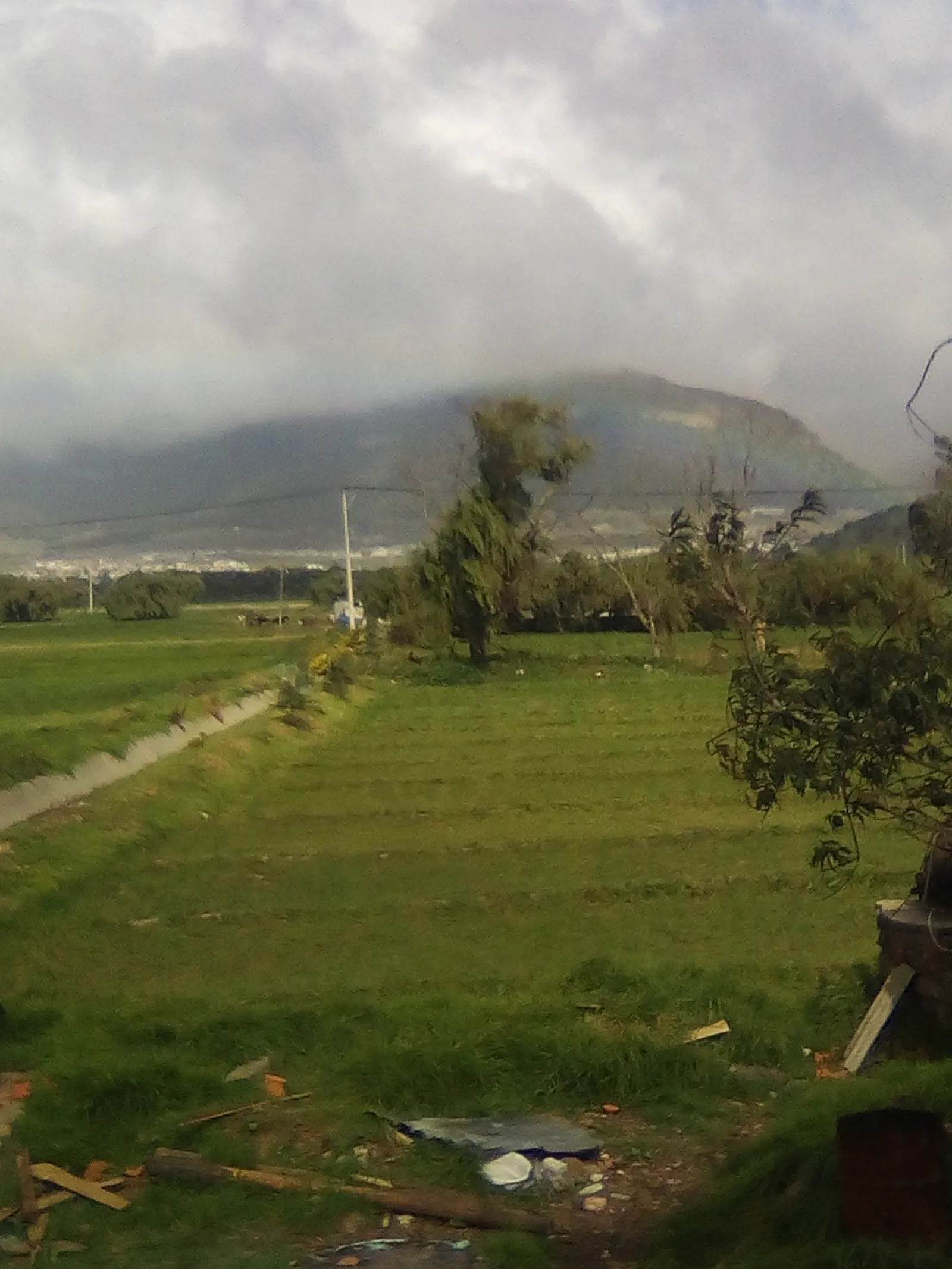 LA TUXPEÑA image 9