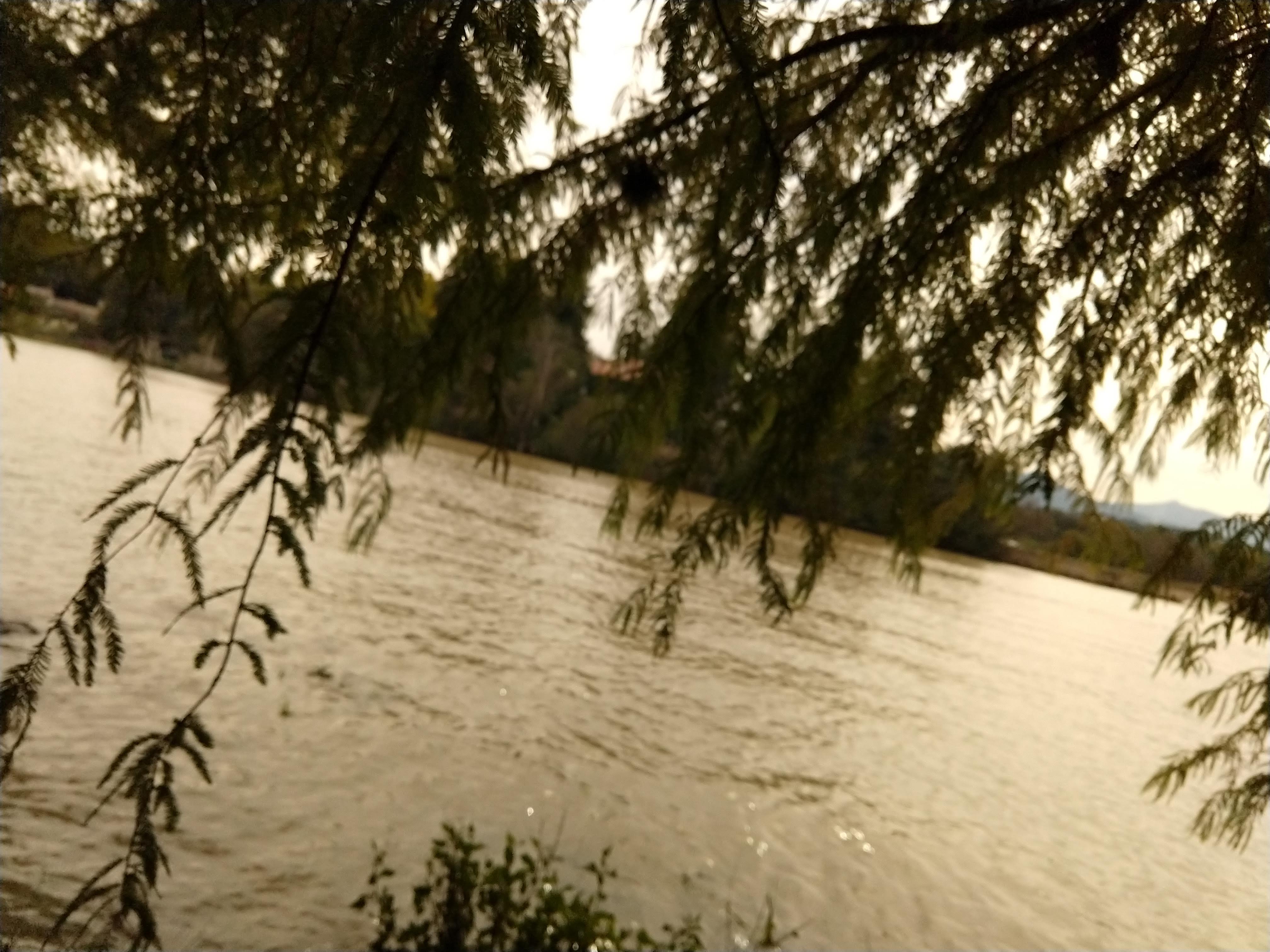 Barbacoa Mi Jacalito image 5