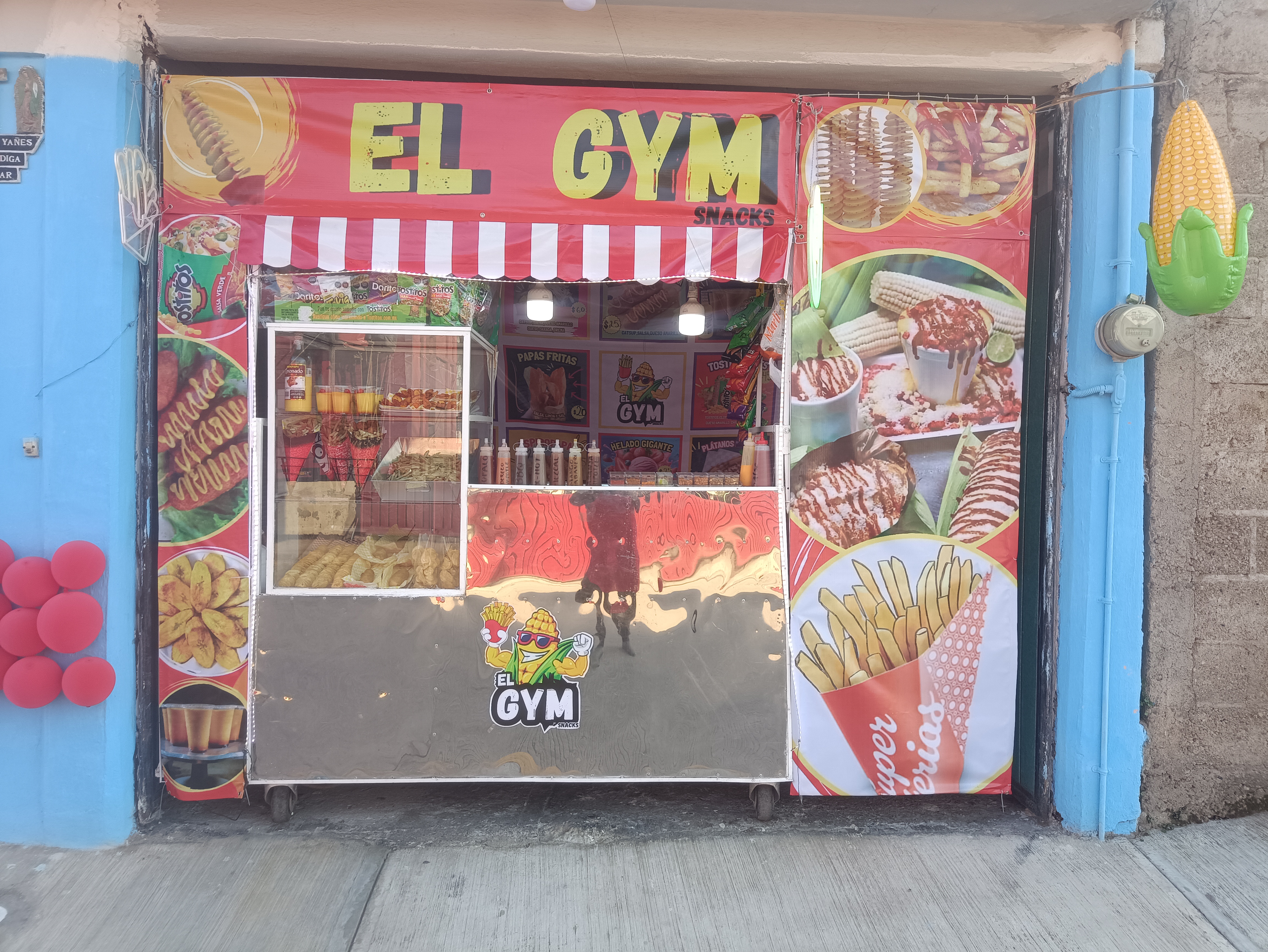 El GYM image 8