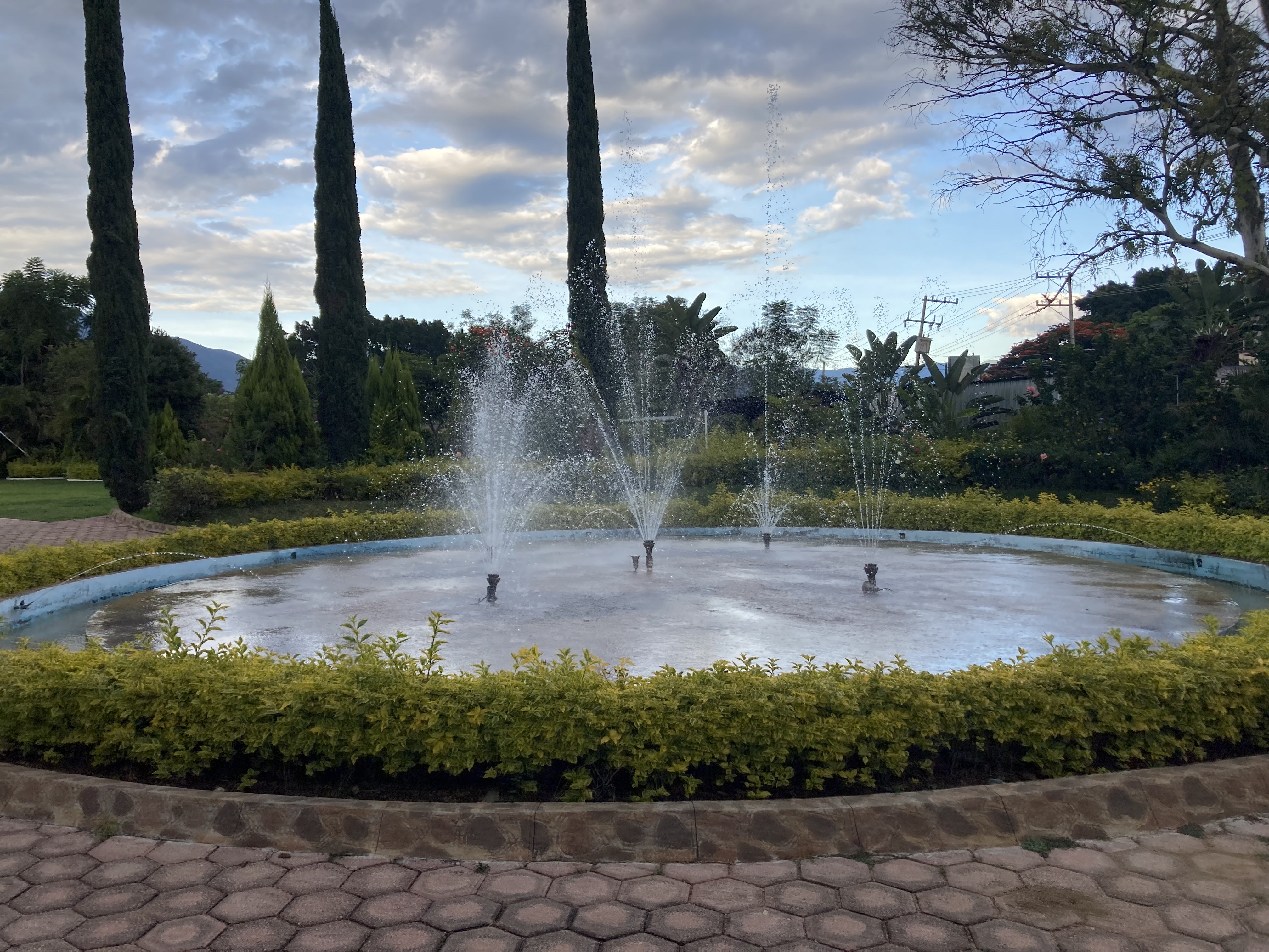 El Sabor de Antequera image 6