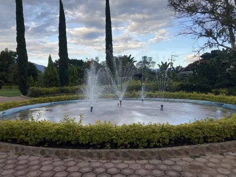 El Sabor de Antequera image 6